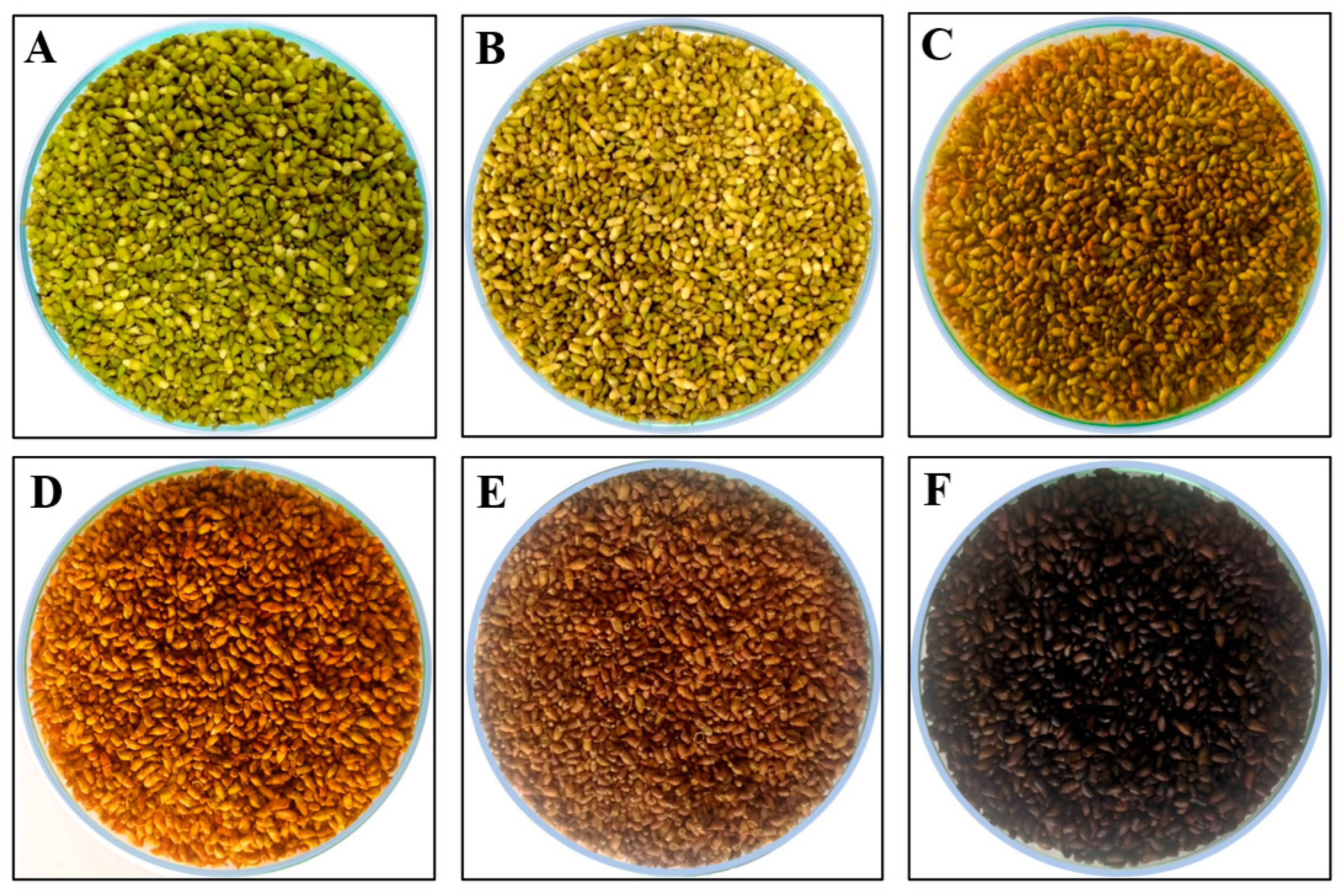 Plants 13 03337 g005 Plants 13 03337 g005