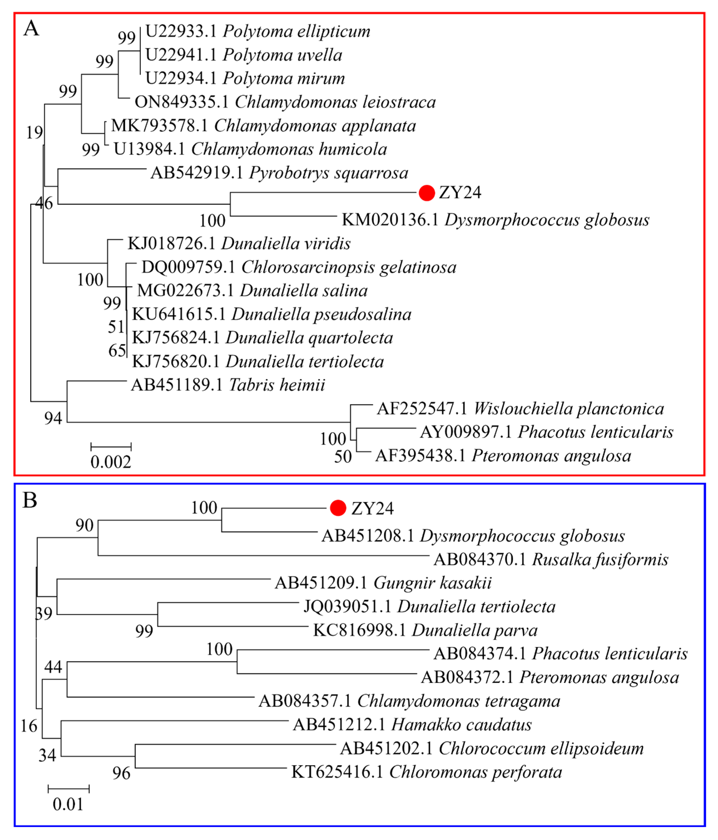 Plants 13 03338 g002
