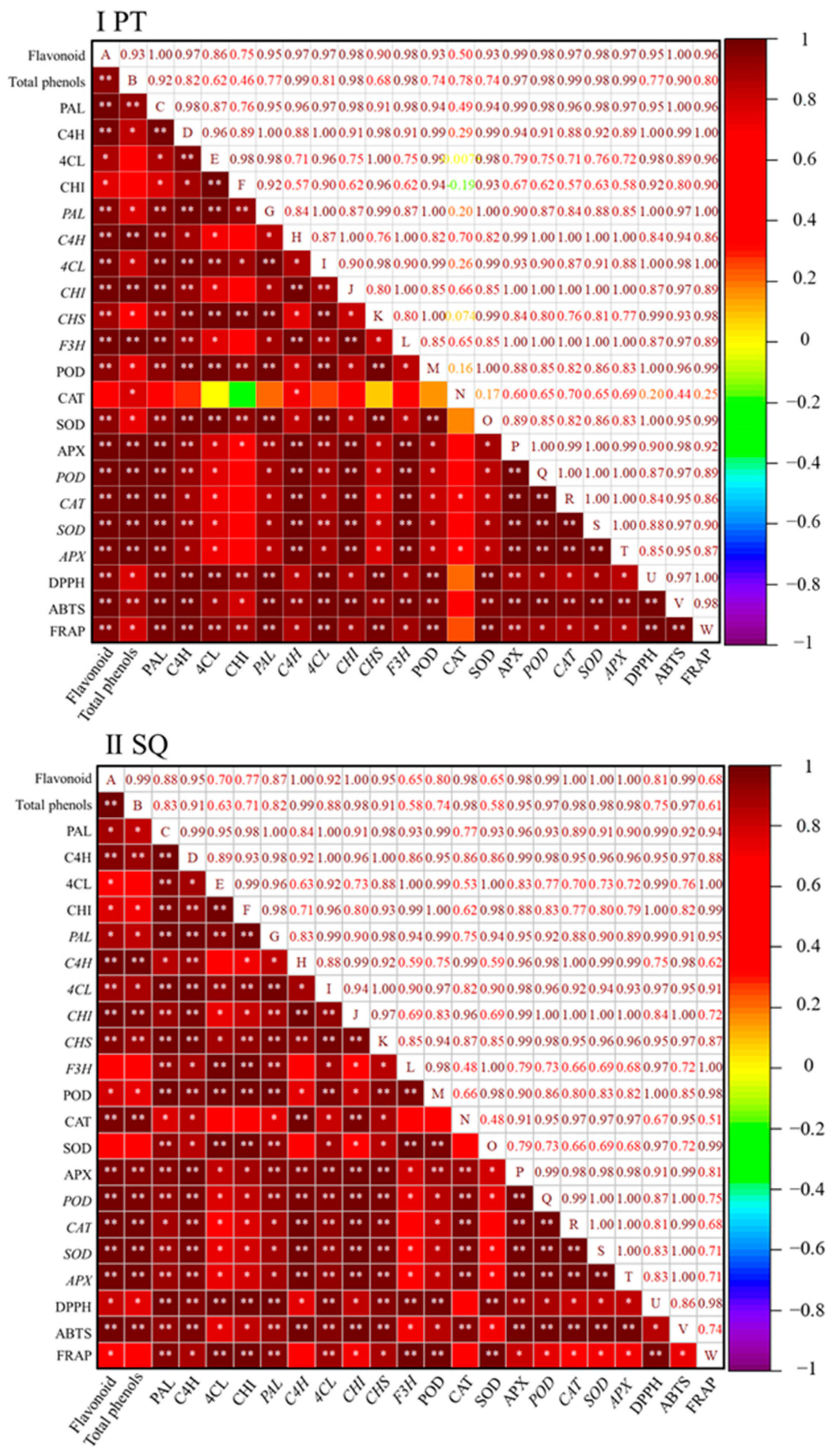 Physiology and Metabolism Alterations in Flavonoid