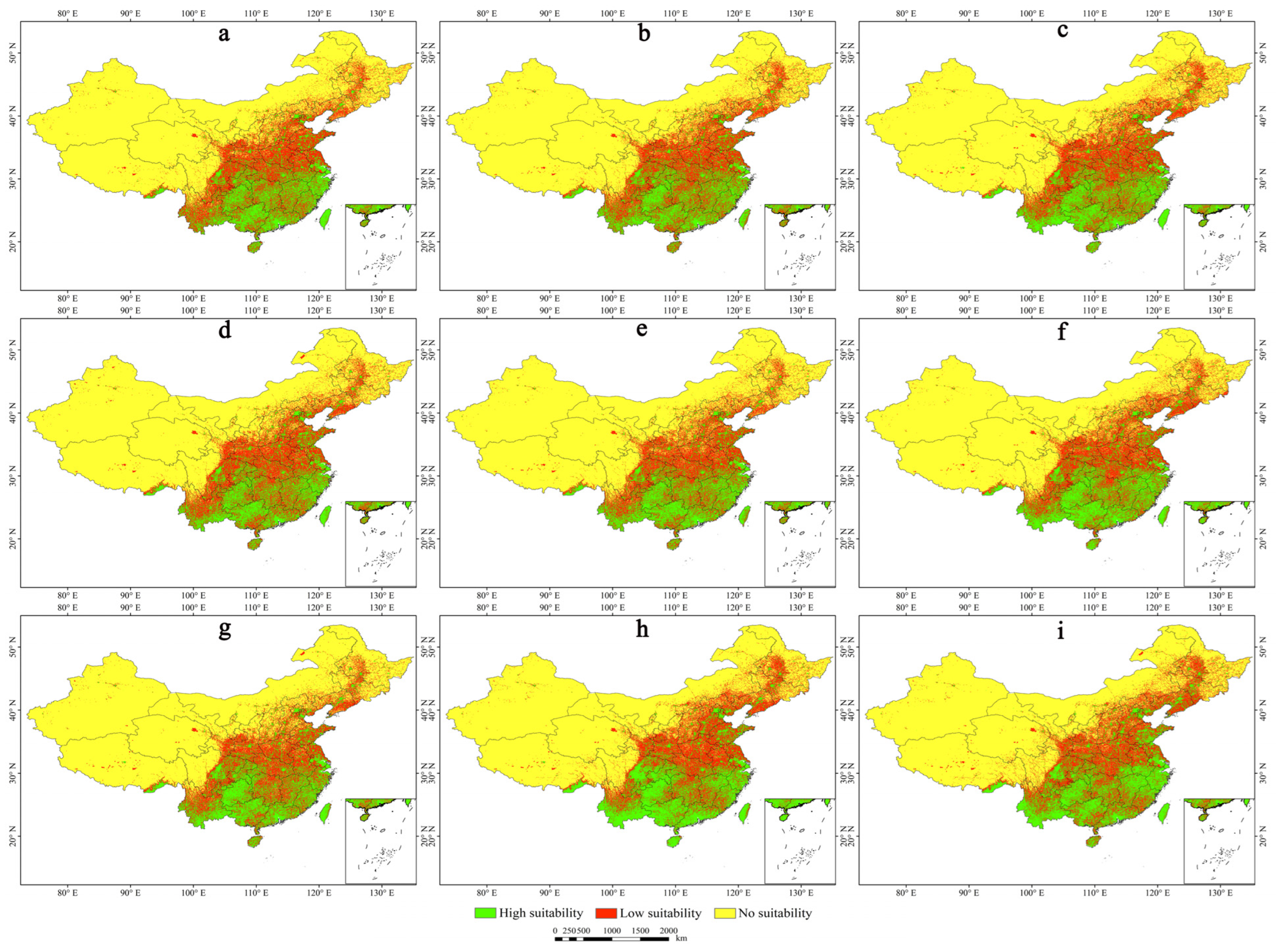 Plants 13 03352 g004