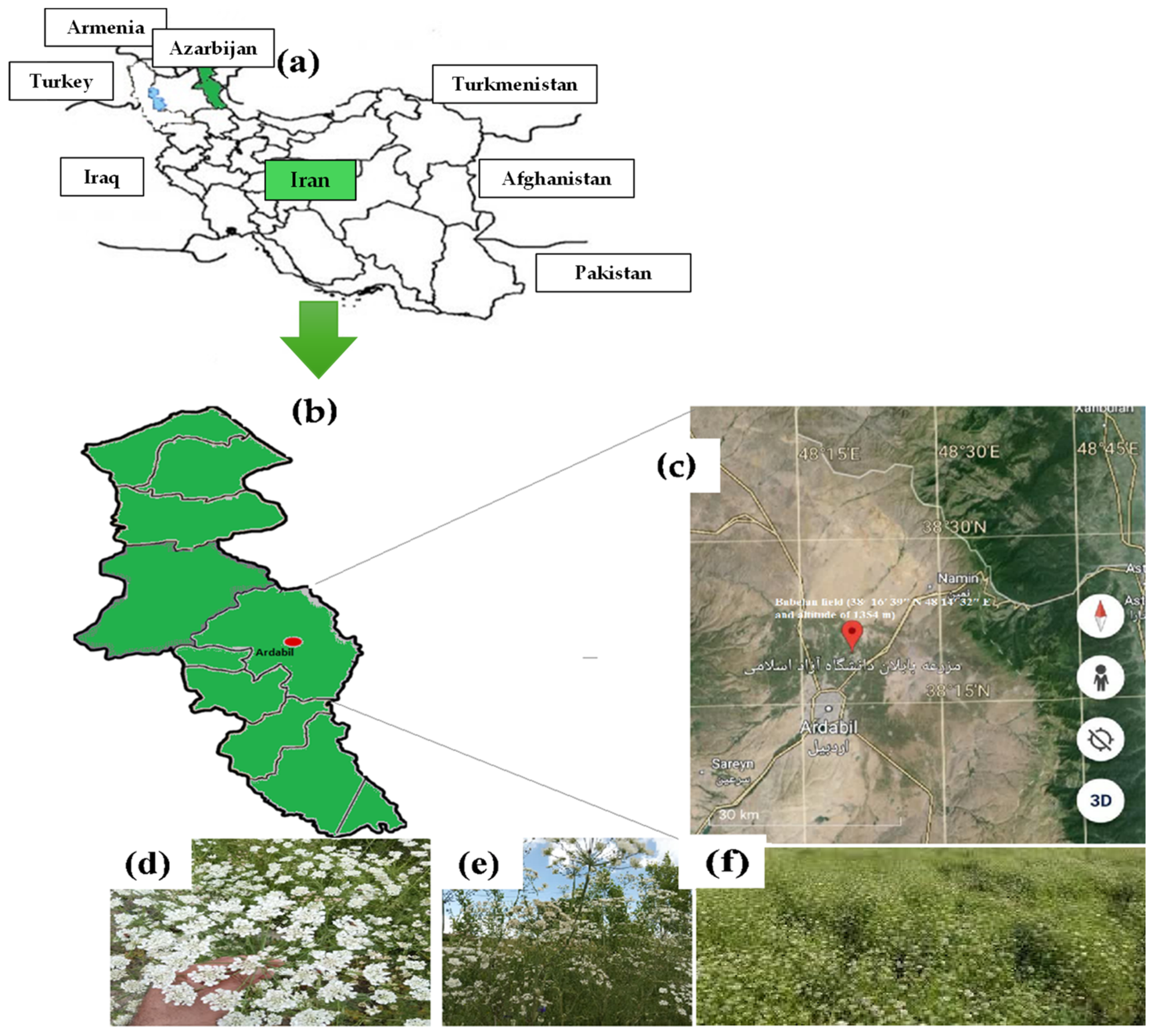 Plants 13 03354 g008