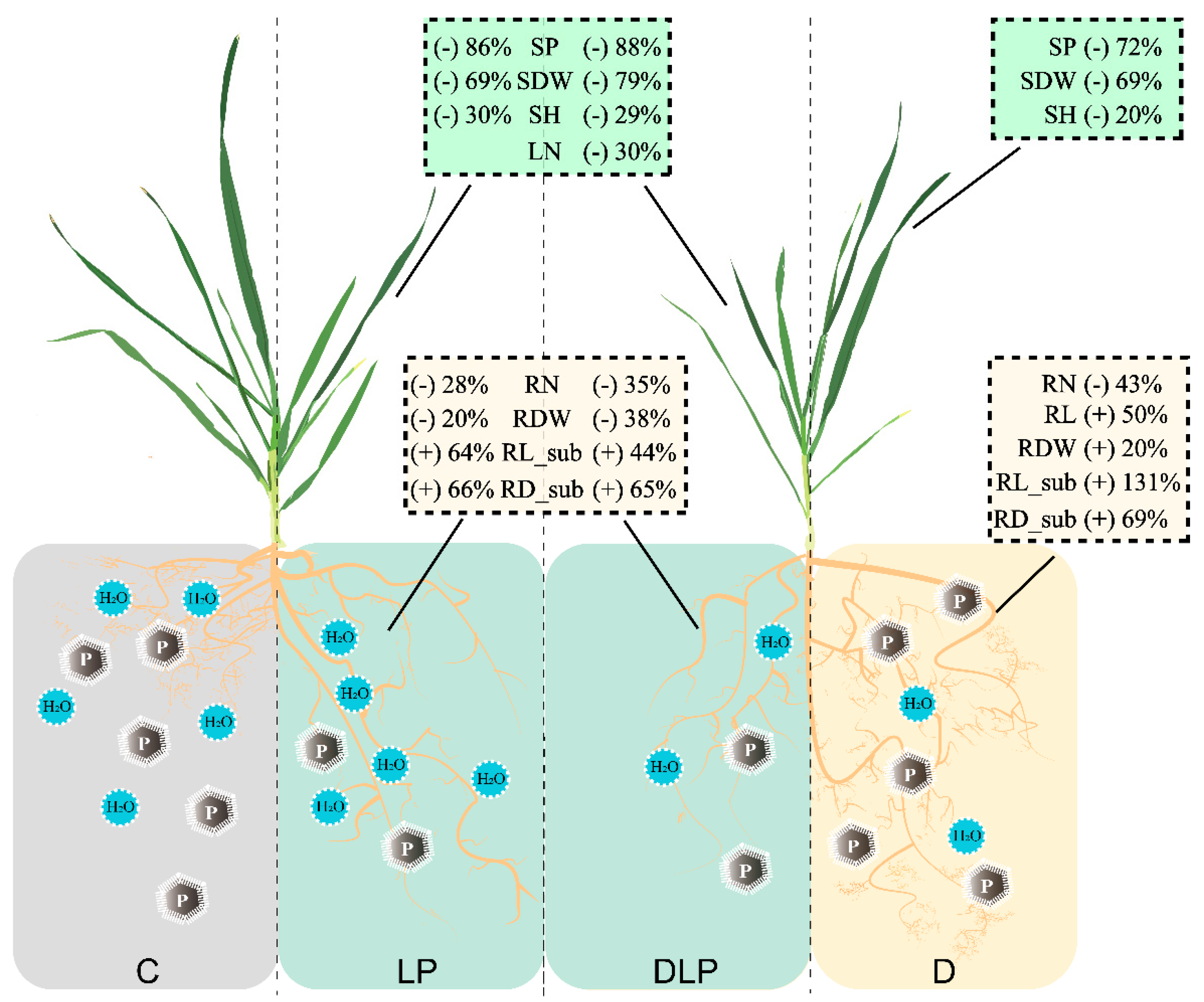 Plants 13 03361 g007