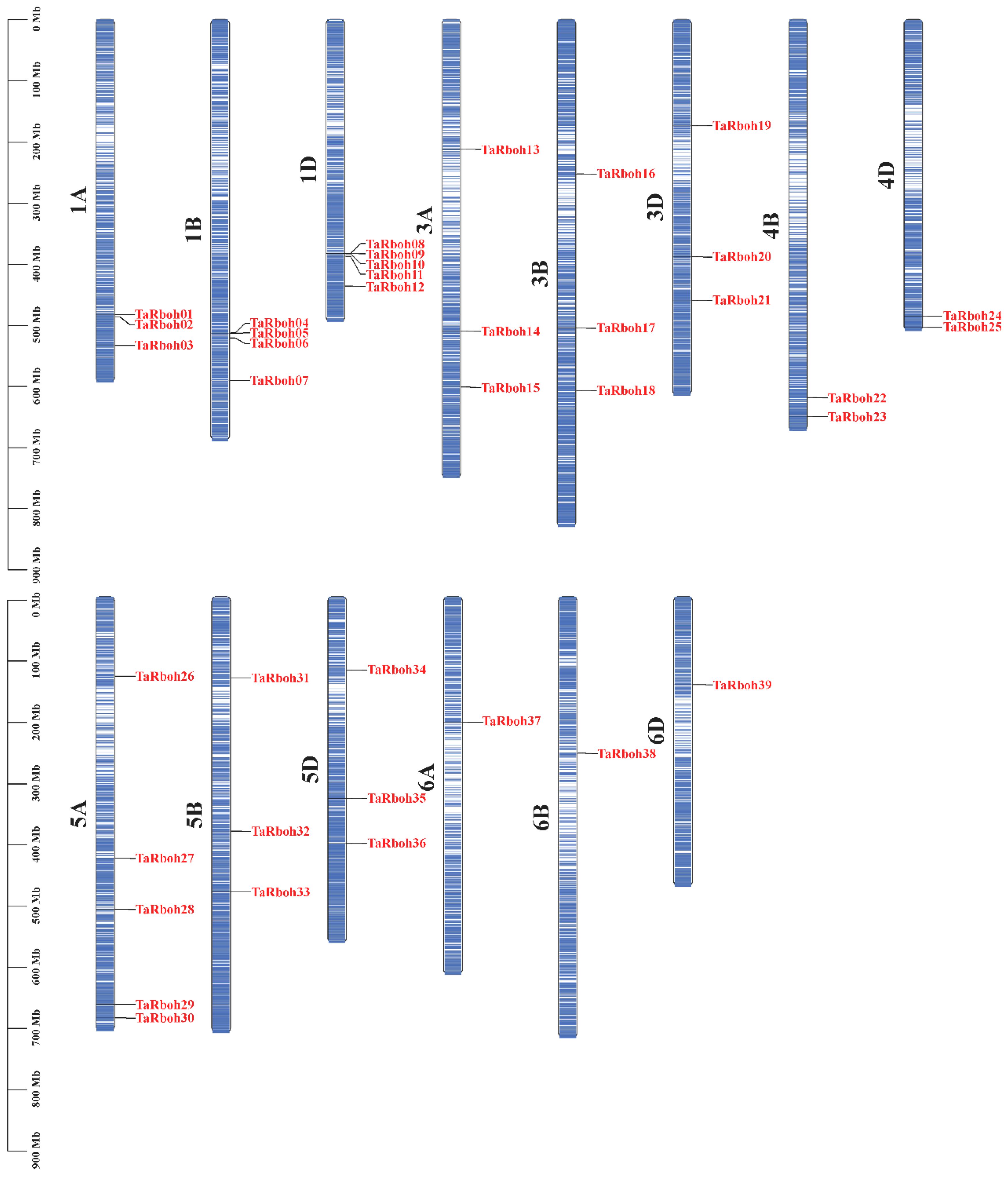 Plants 13 03377 g001