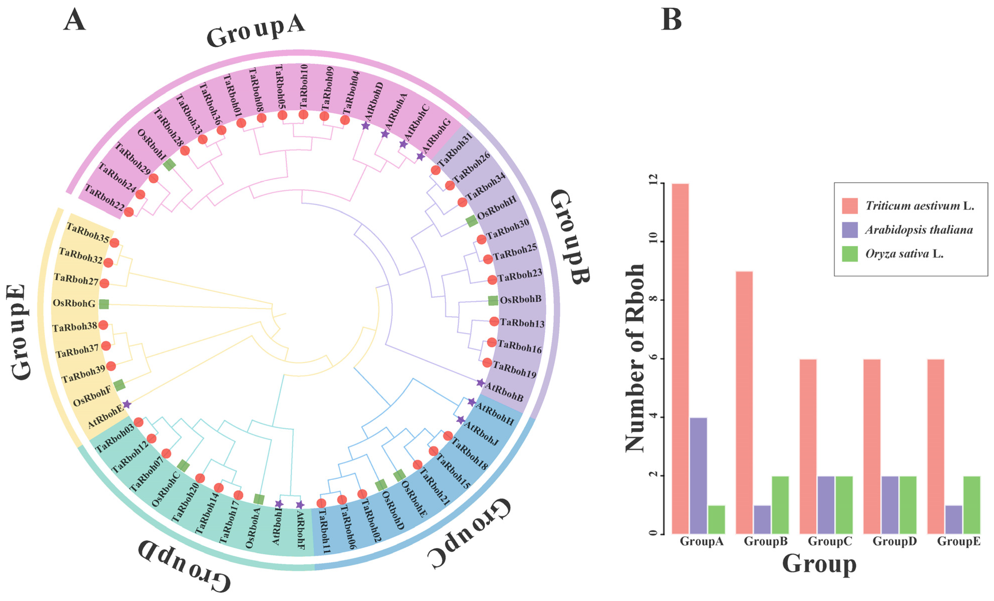 Plants 13 03377 g002