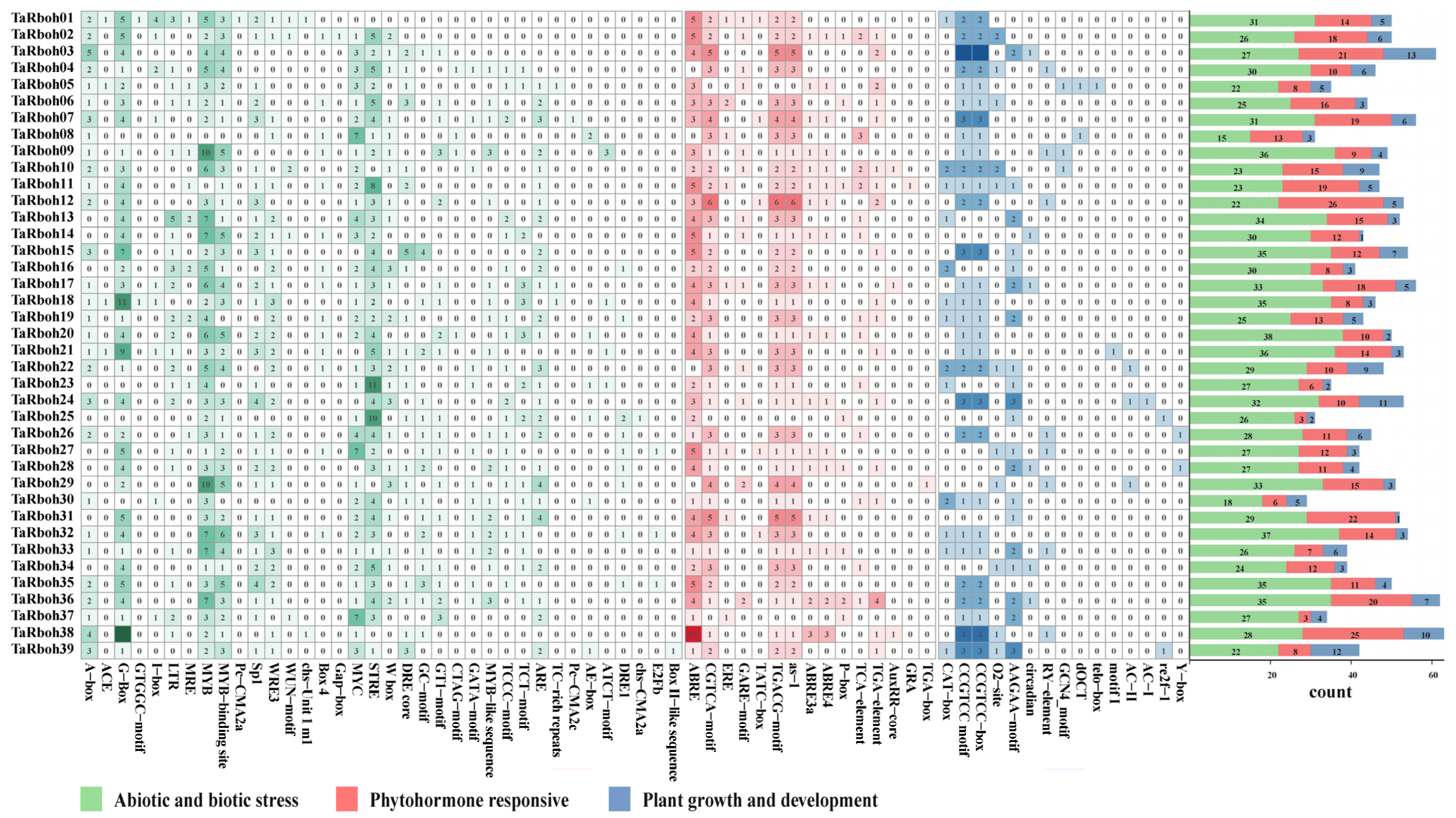 Plants 13 03377 g004