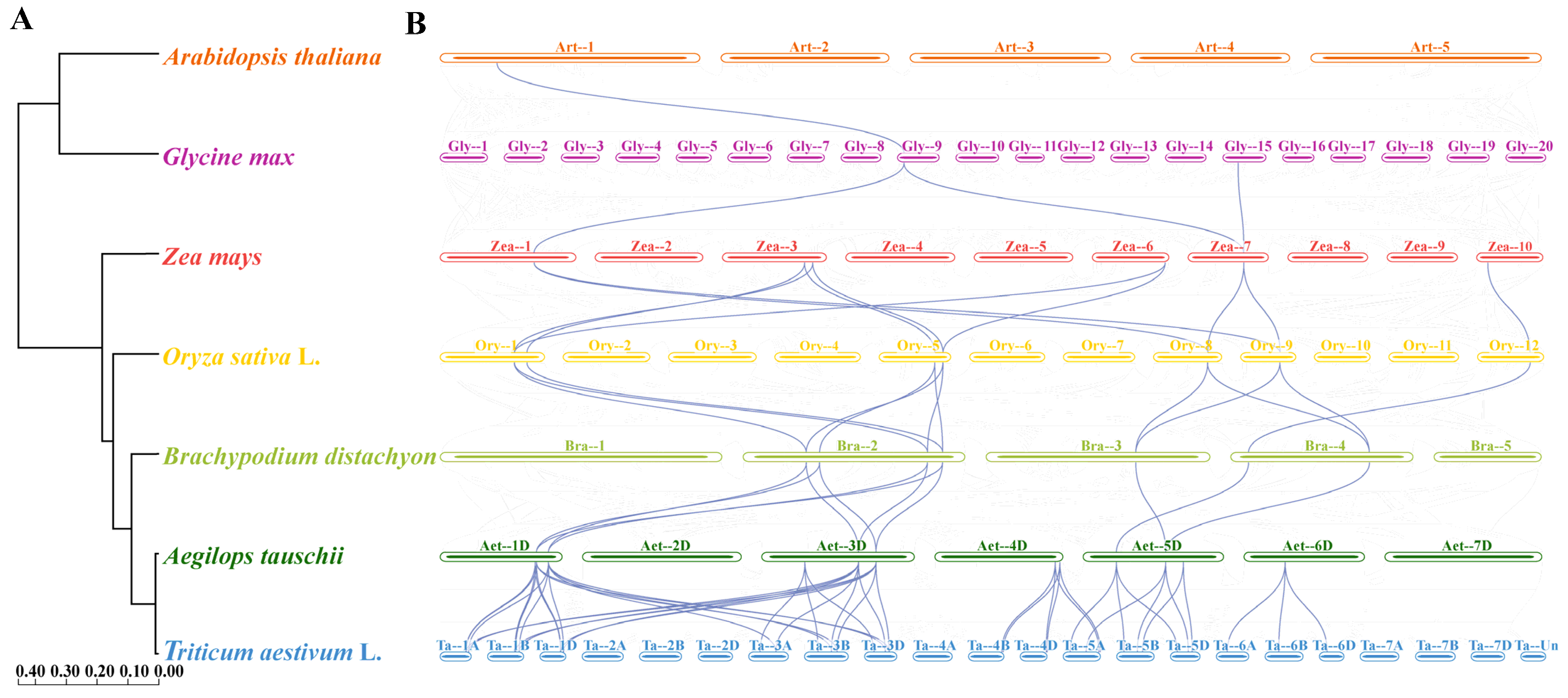 Plants 13 03377 g006