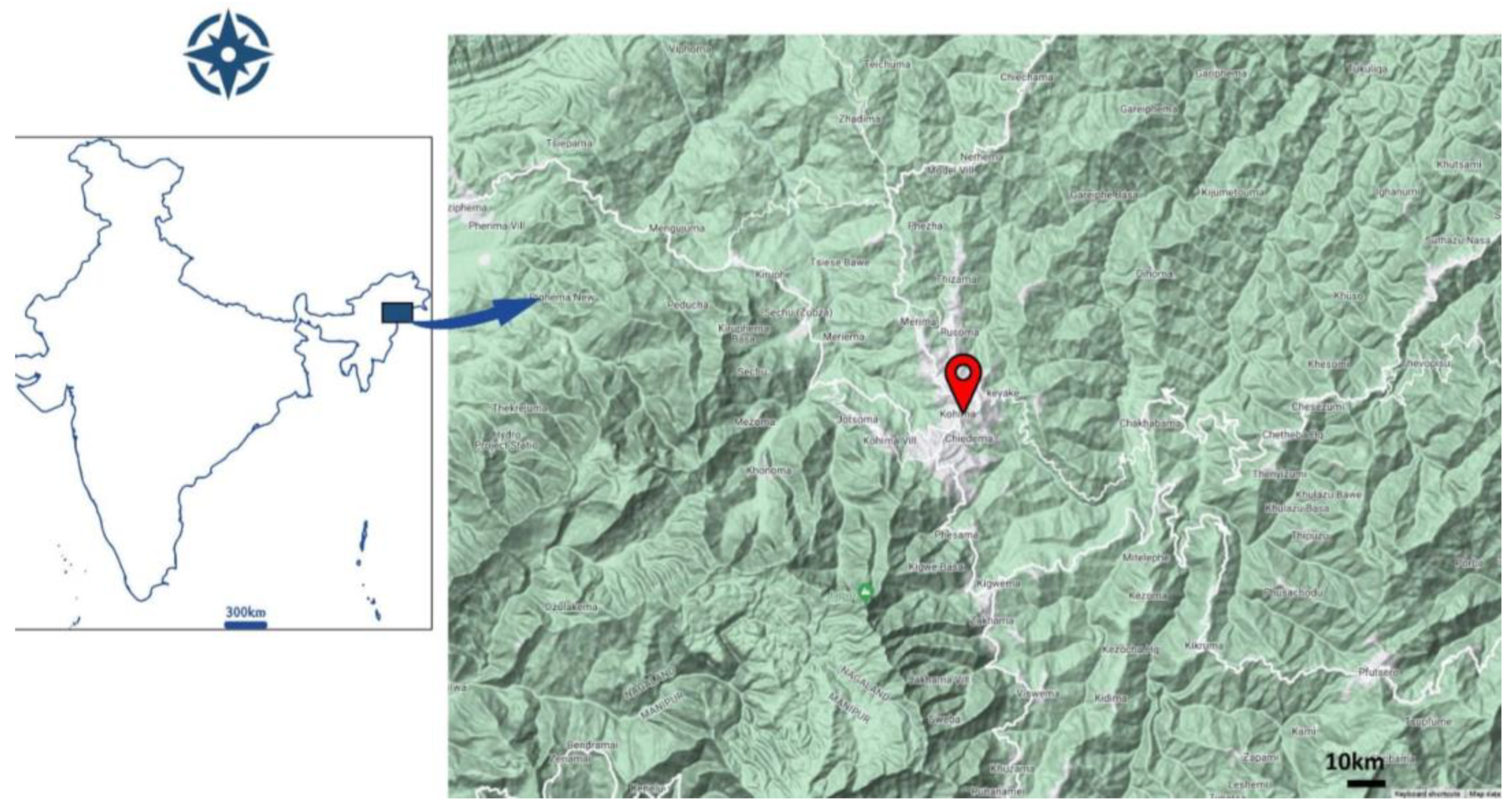 Plants 13 03378 g007