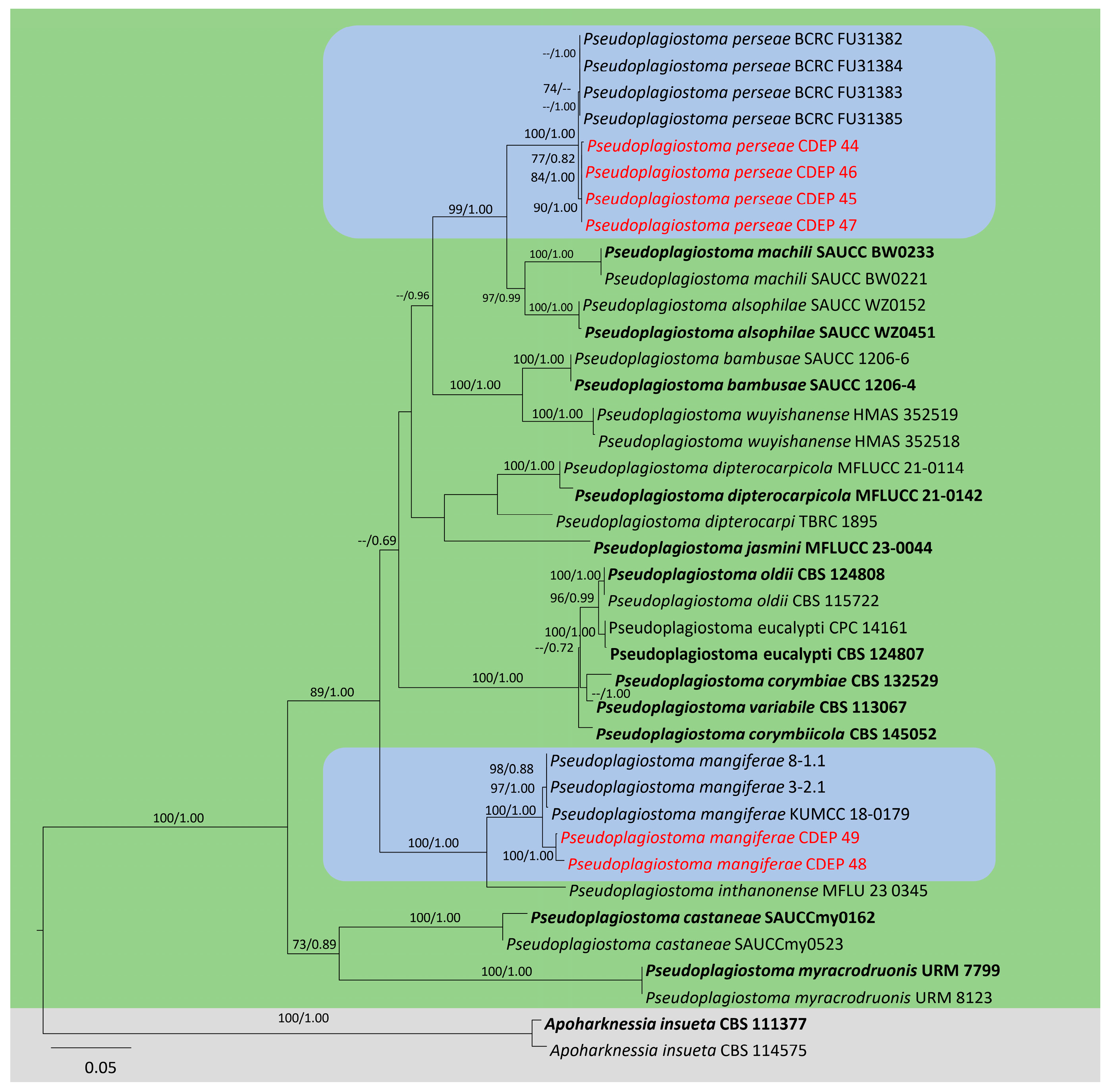 Plants 13 03379 g001