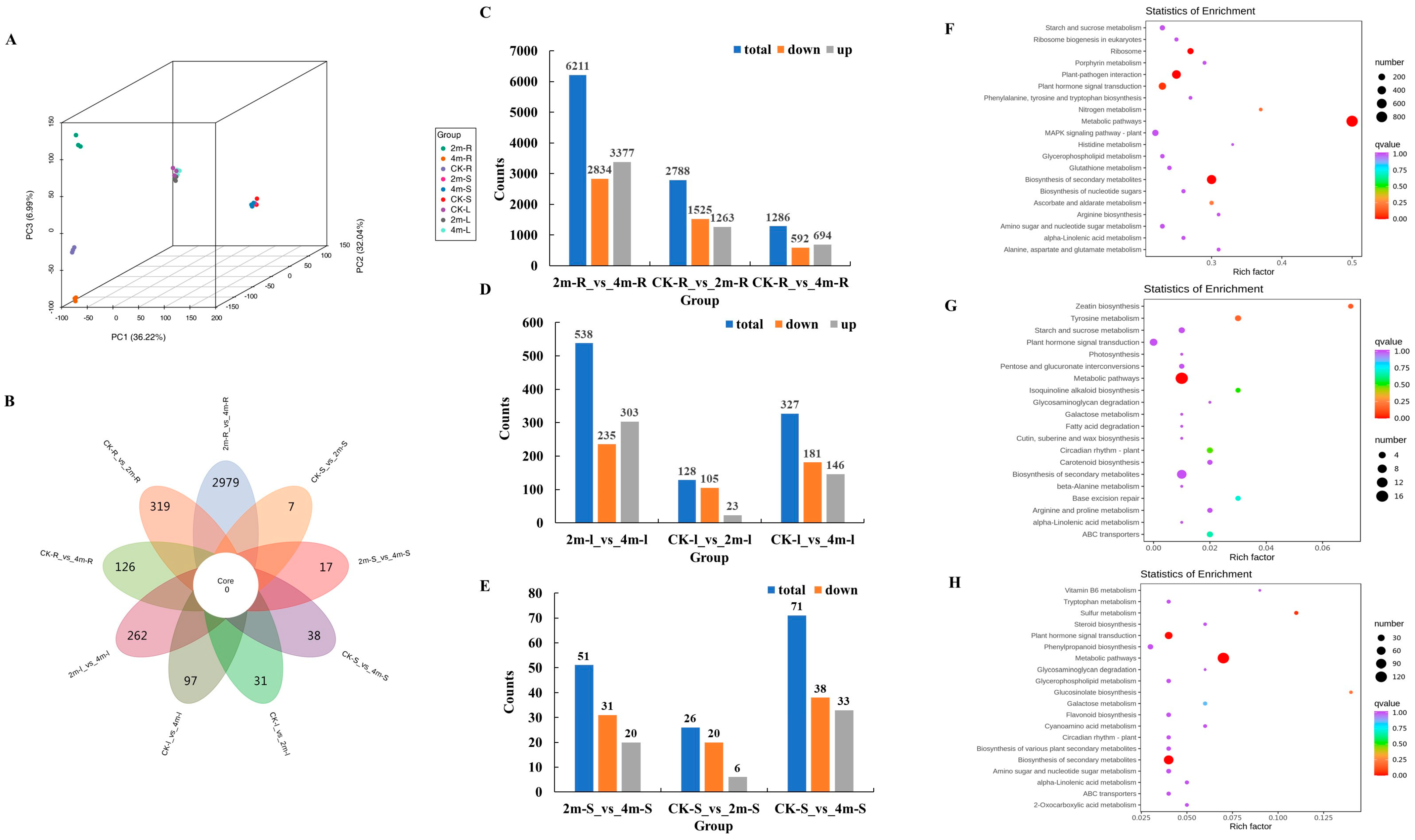 Plants 13 03391 g003