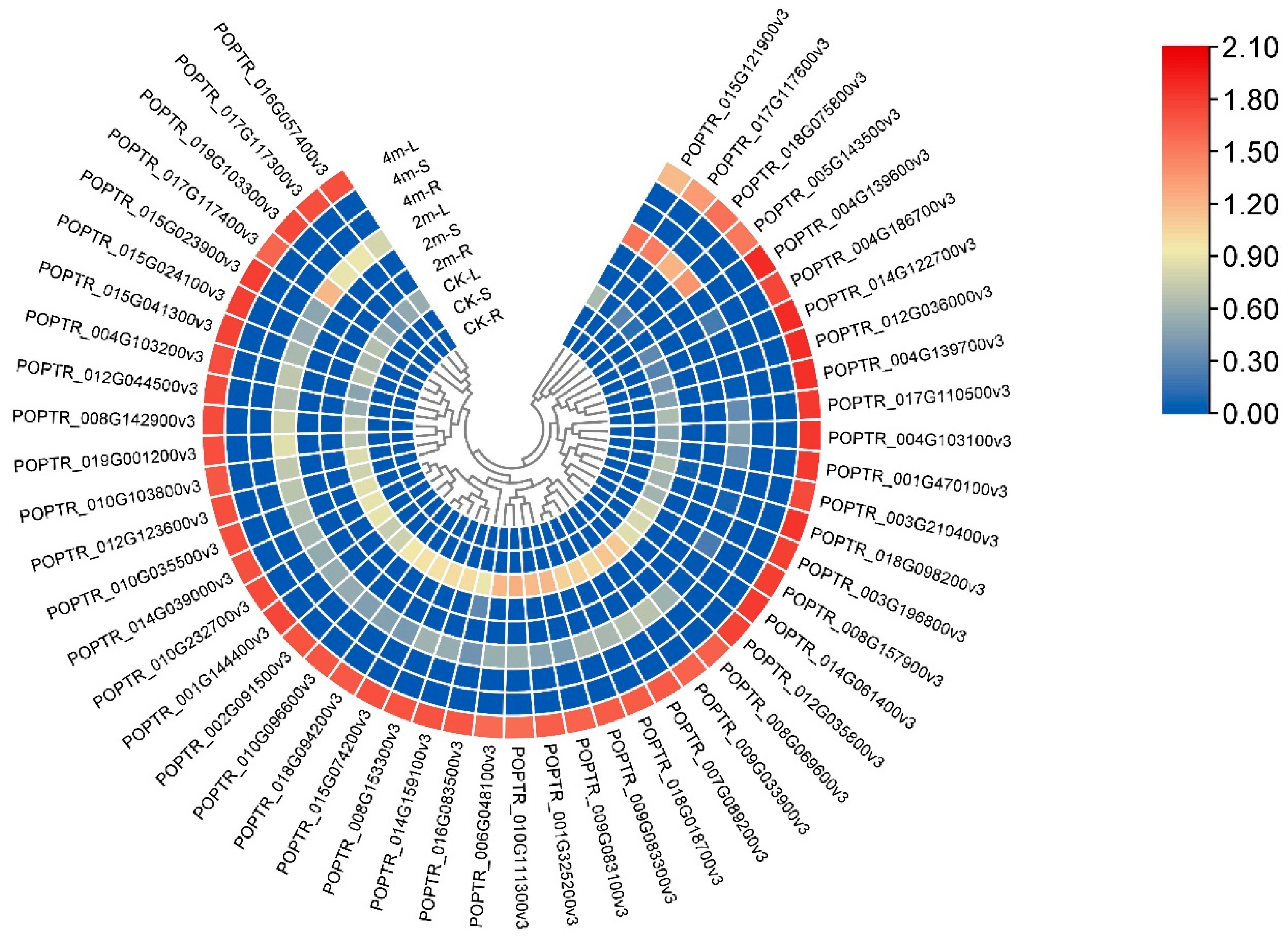 Plants 13 03391 g007