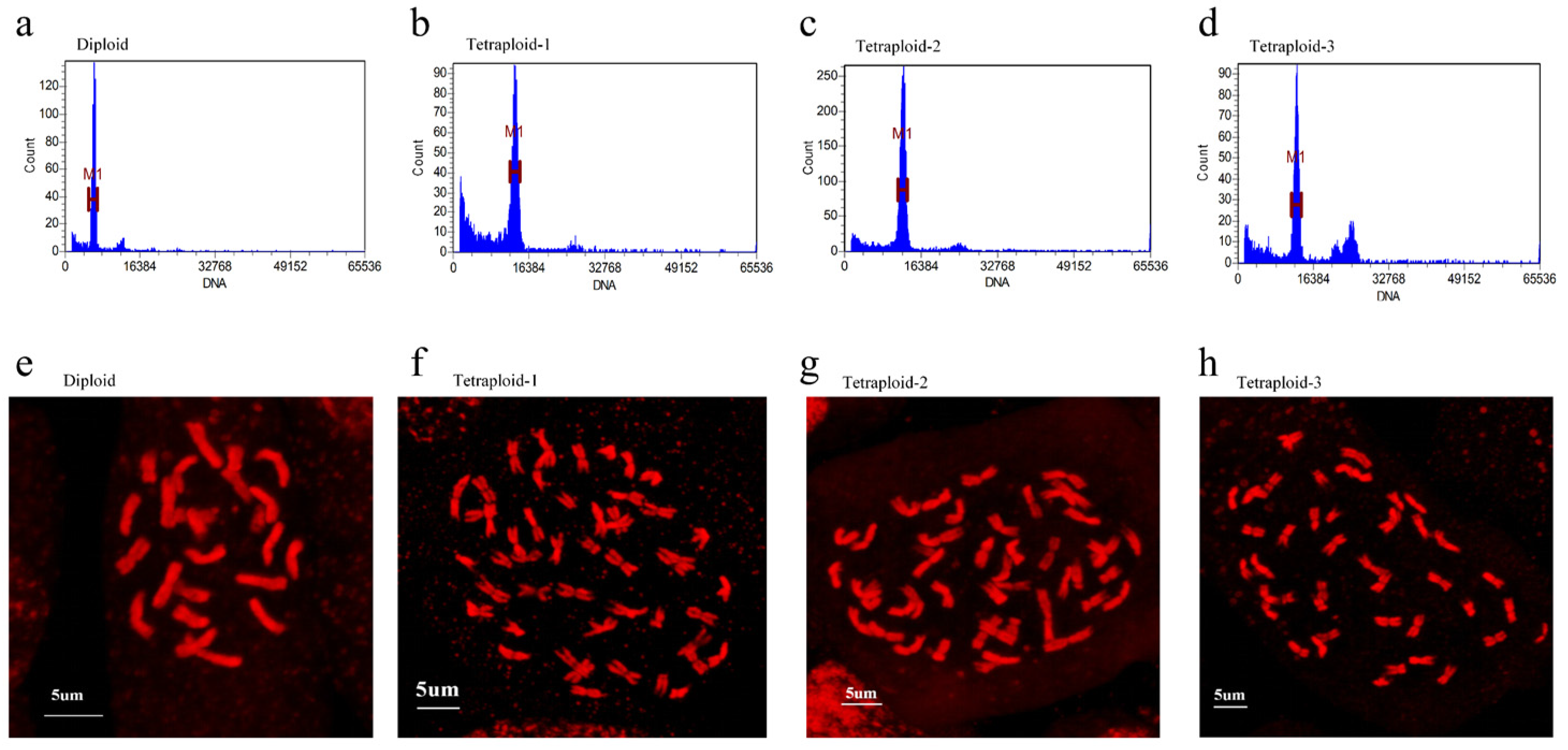 Plants 13 03393 g001 Plants 13 03393 g001
