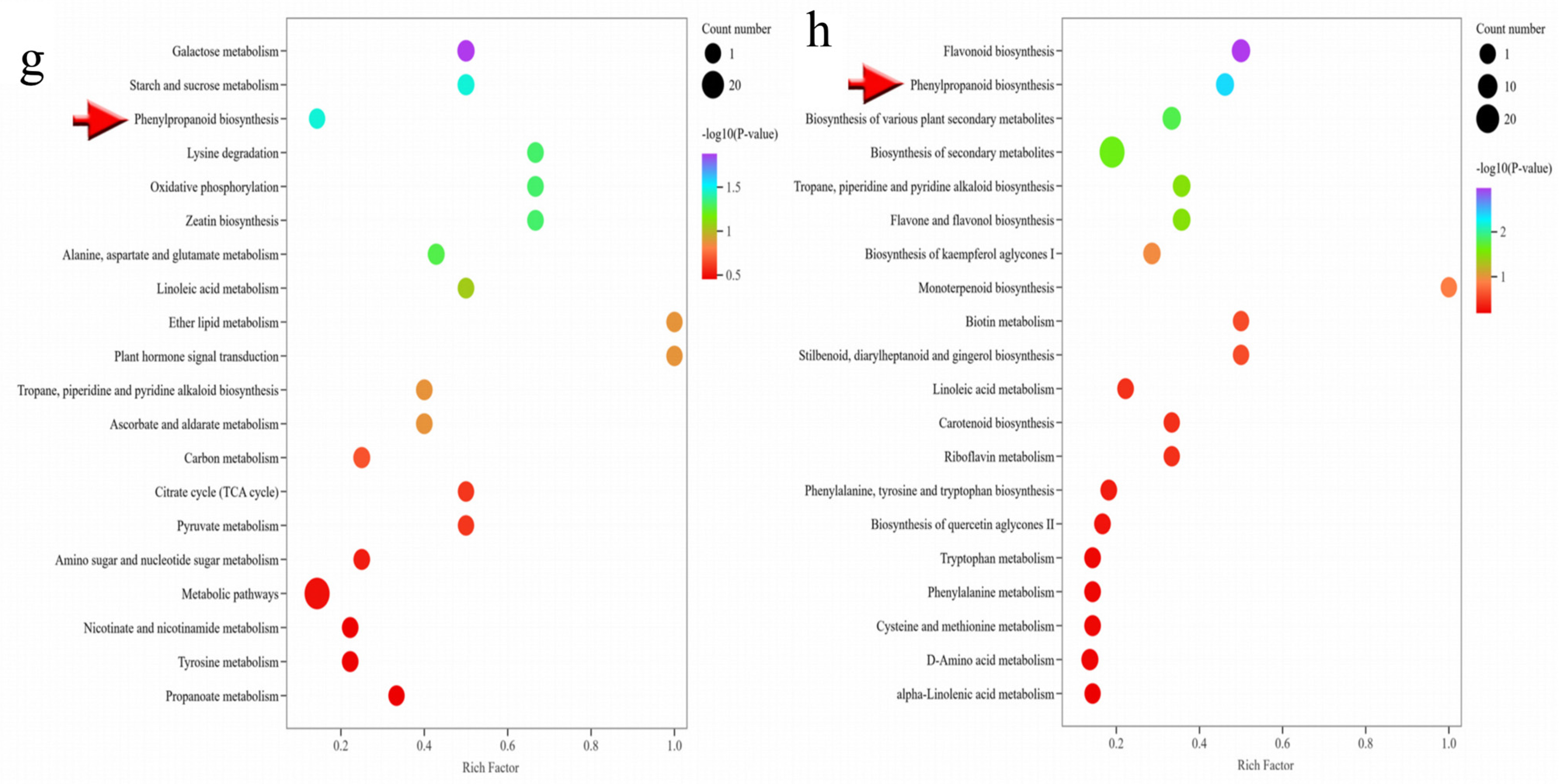 Plants 13 03393 g003b Plants 13 03393 g003b