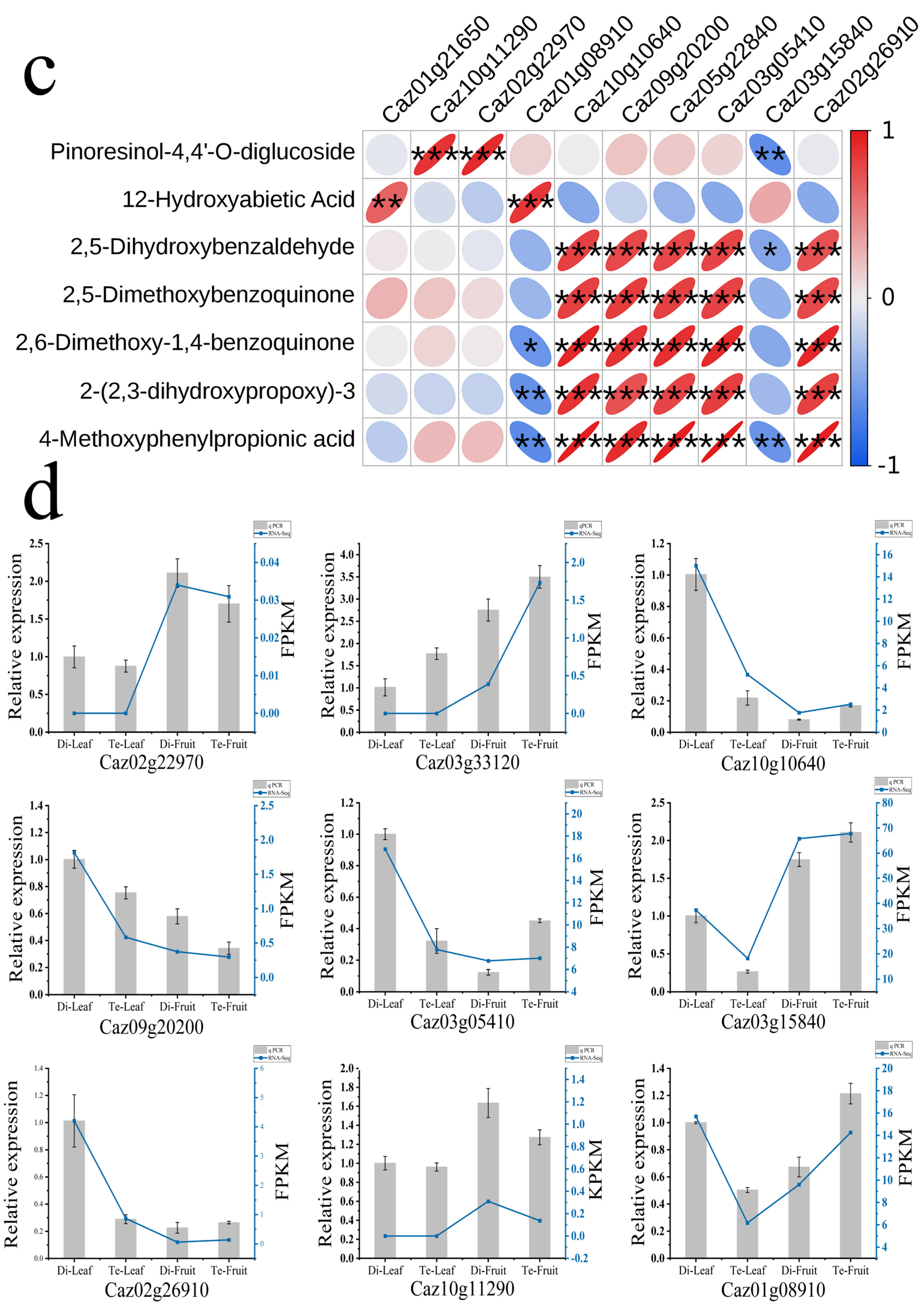 Plants 13 03393 g005b Plants 13 03393 g005b