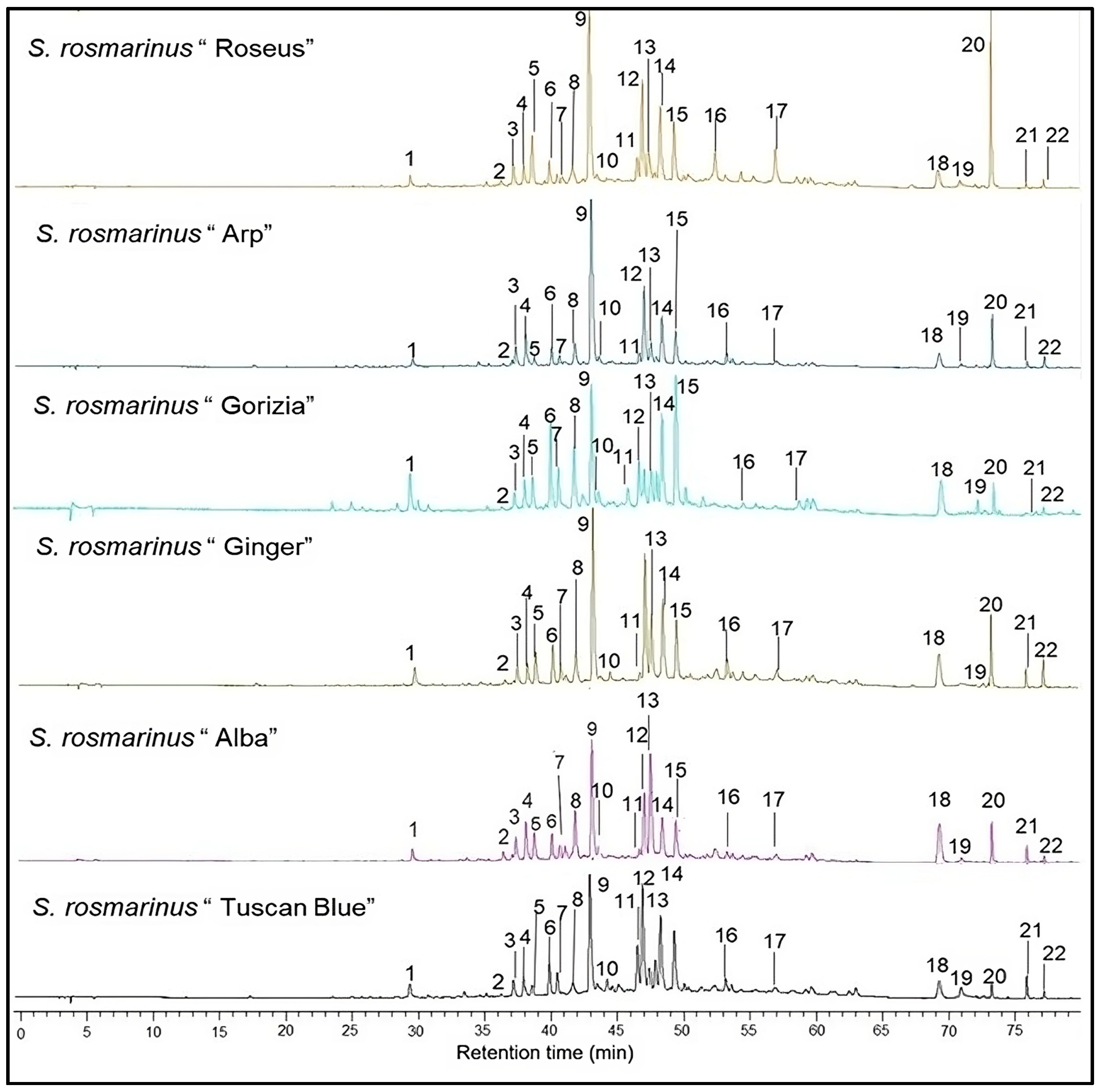 Plants 13 03395 g001