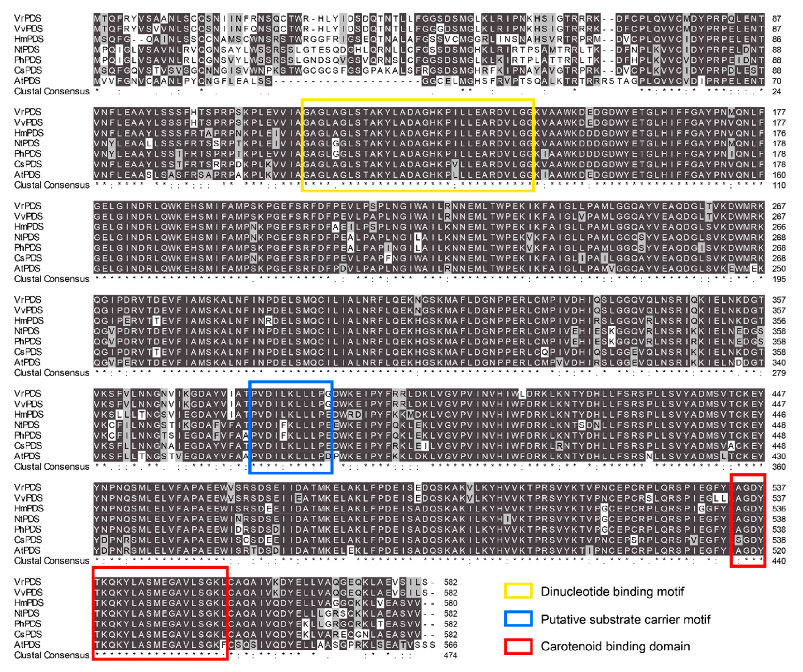 Plants 13 03396 g001