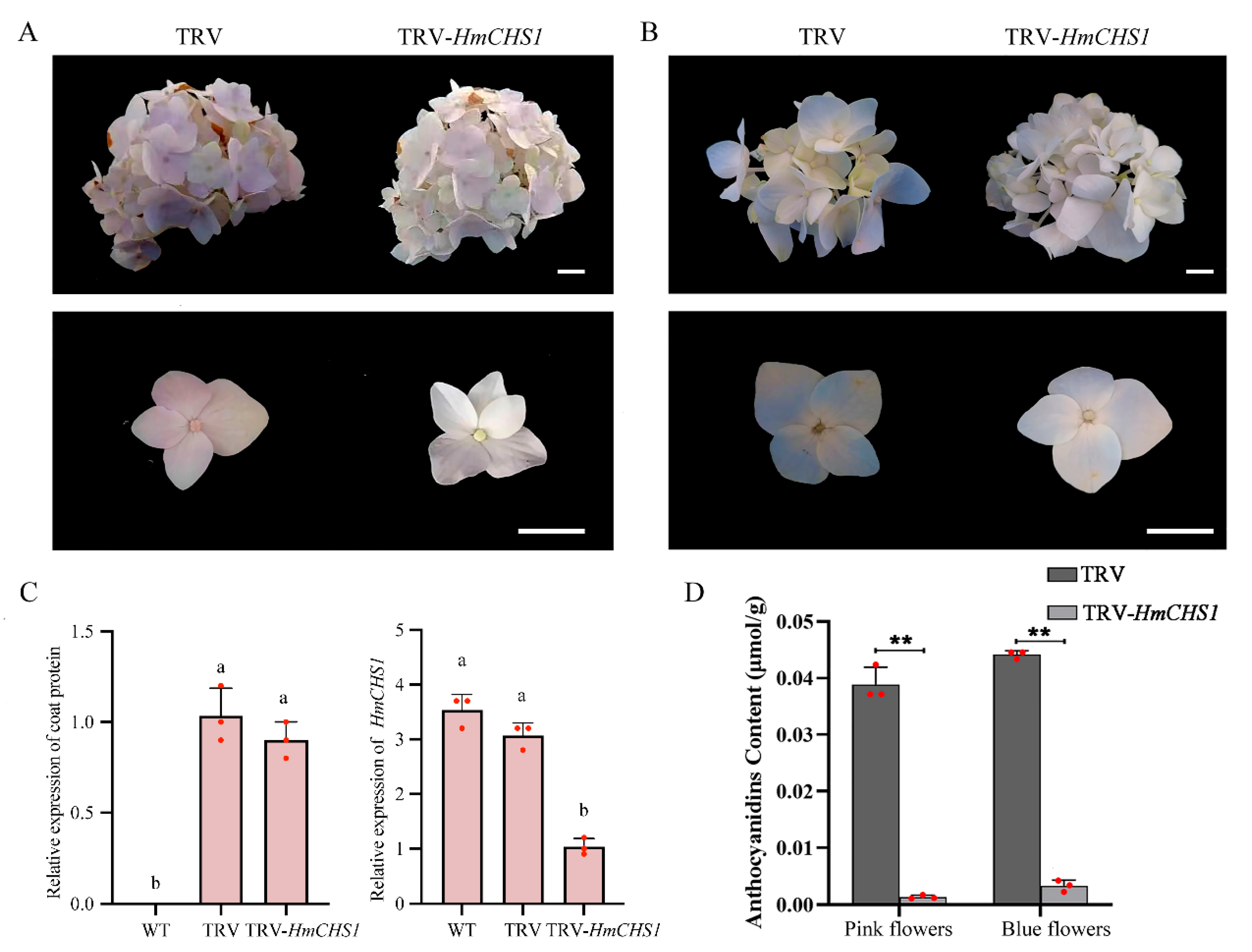 Plants 13 03396 g003