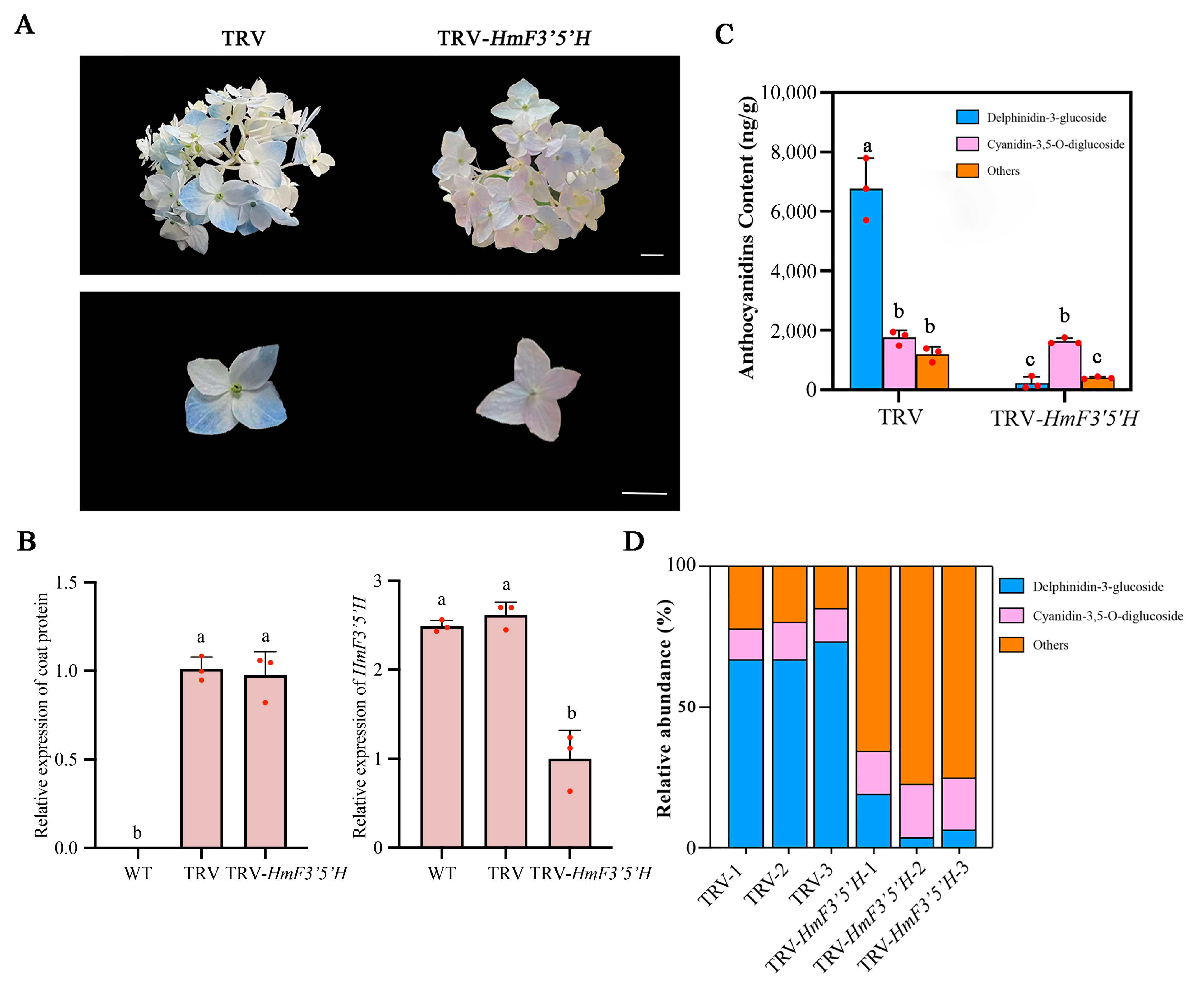 Plants 13 03396 g004