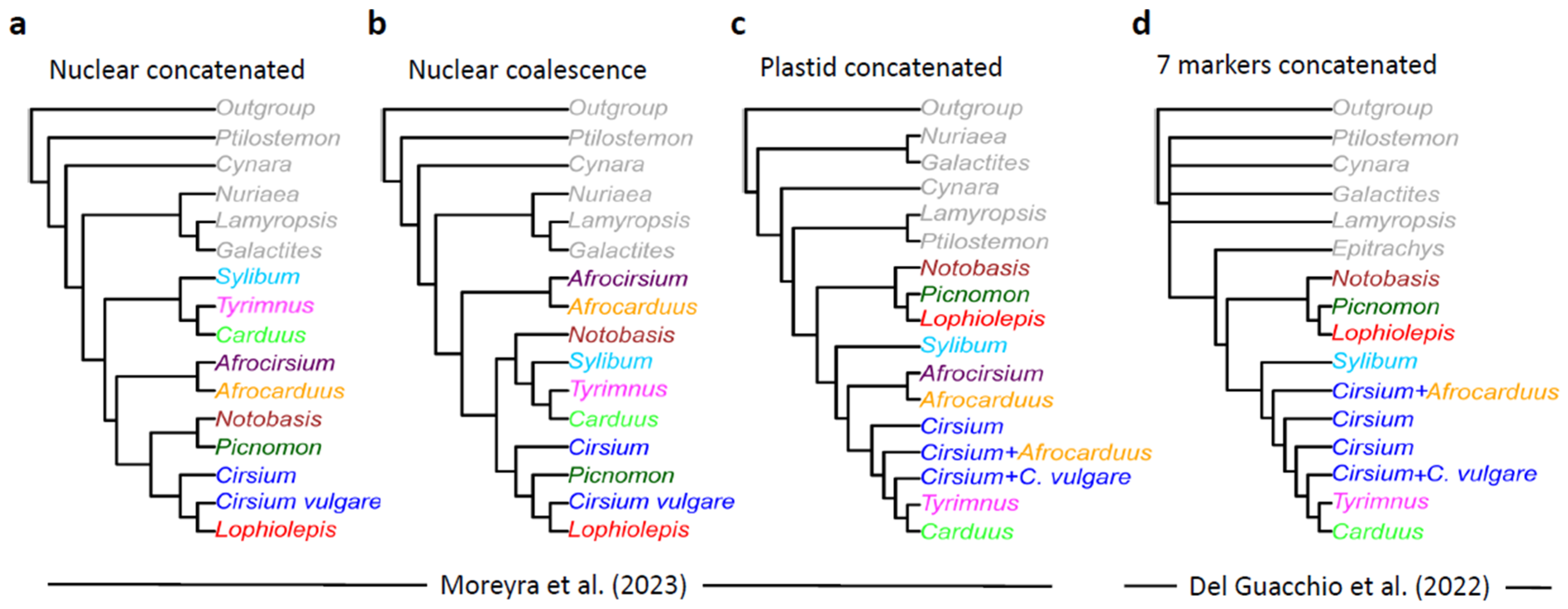 Plants 13 03399 g001