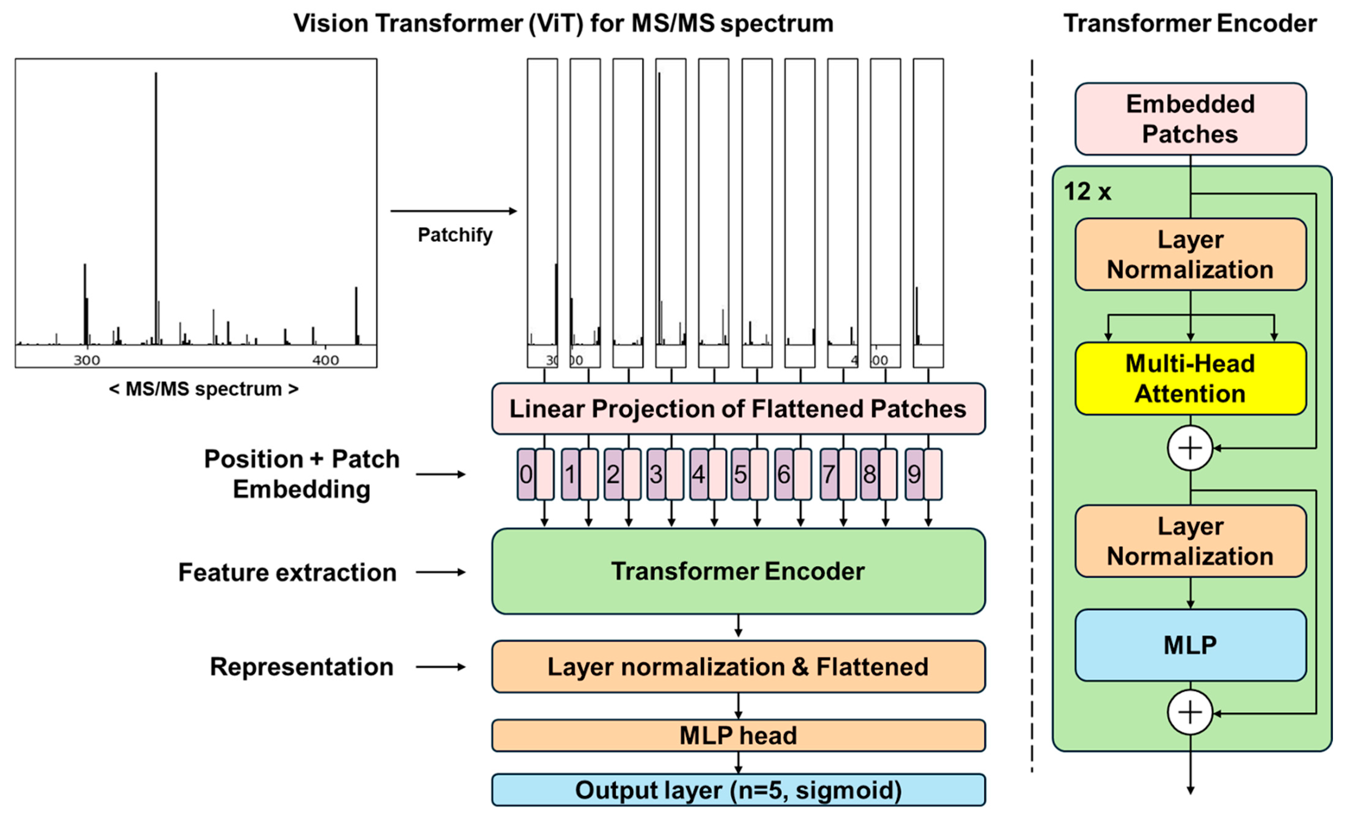 Plants 13 03401 g001