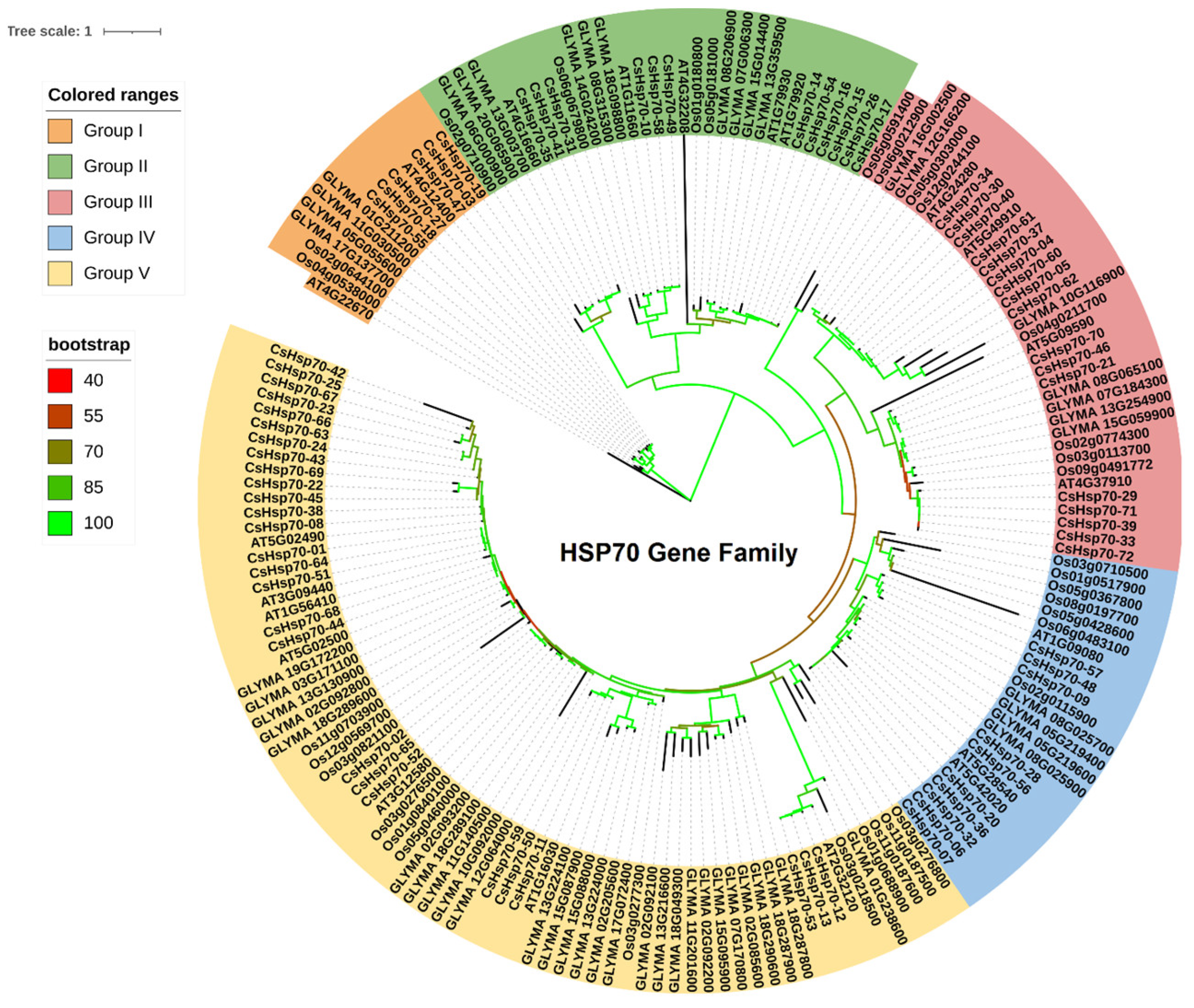 Plants 13 03410 g001