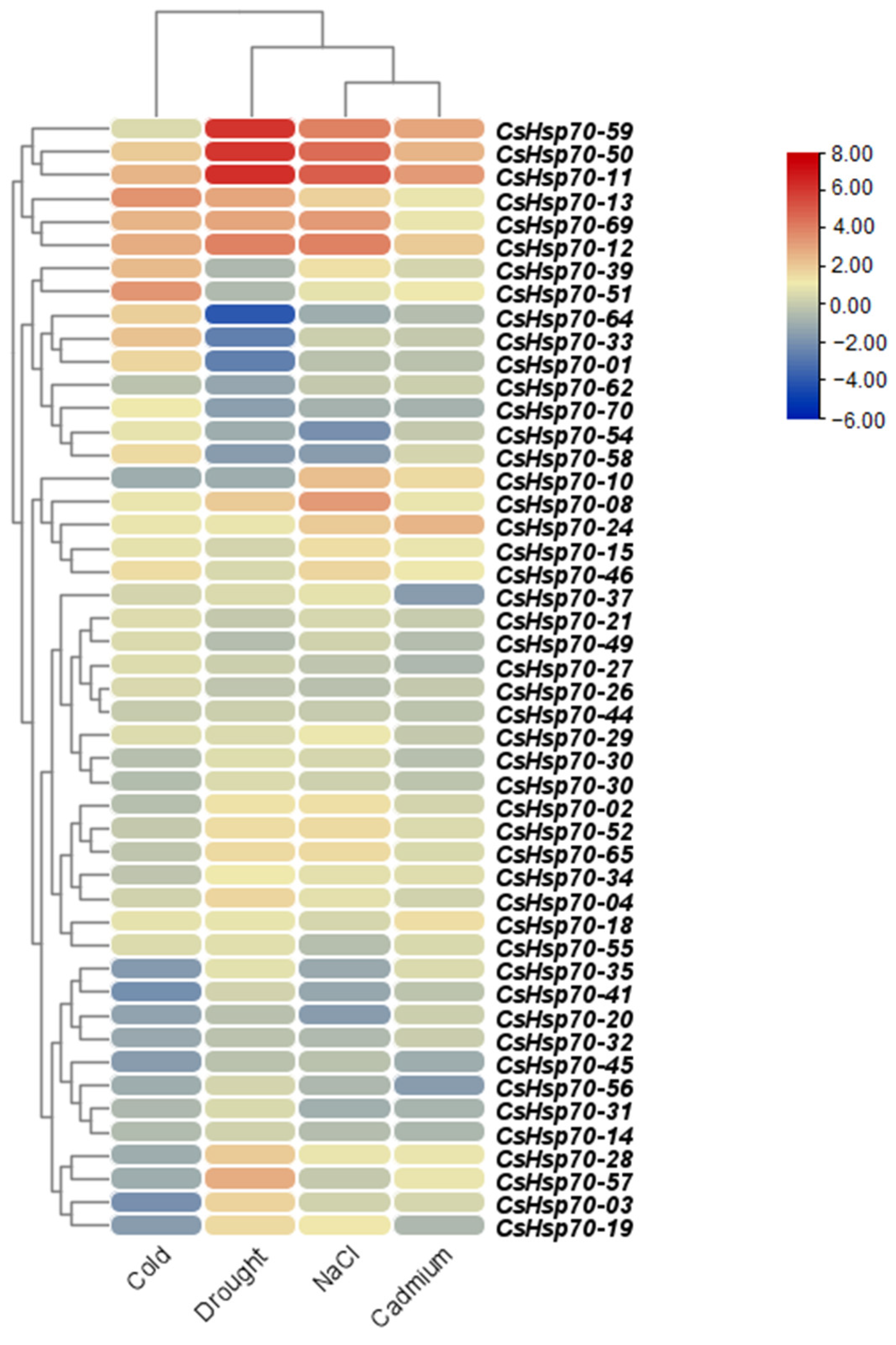 Plants 13 03410 g005