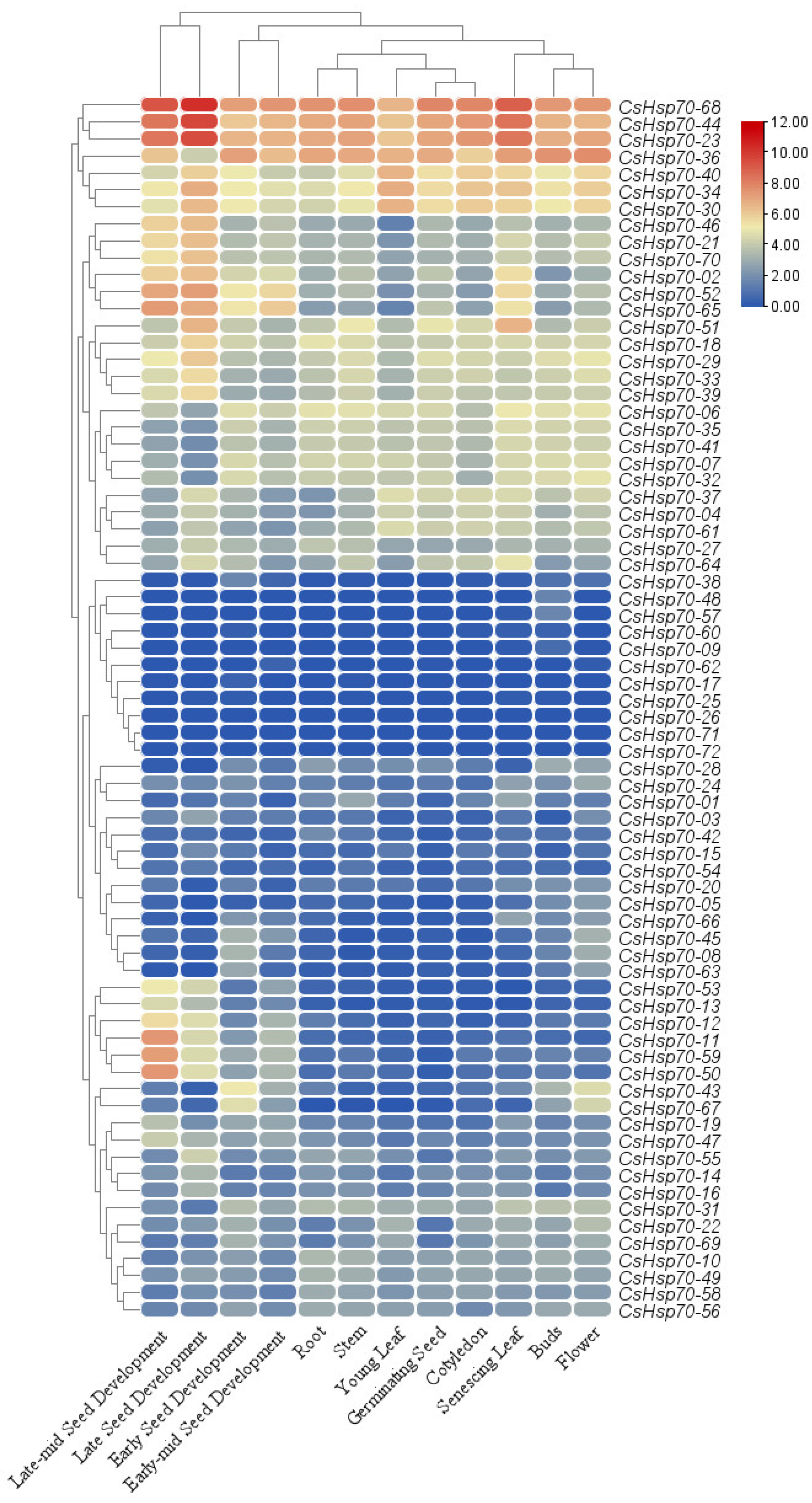Plants 13 03410 g006