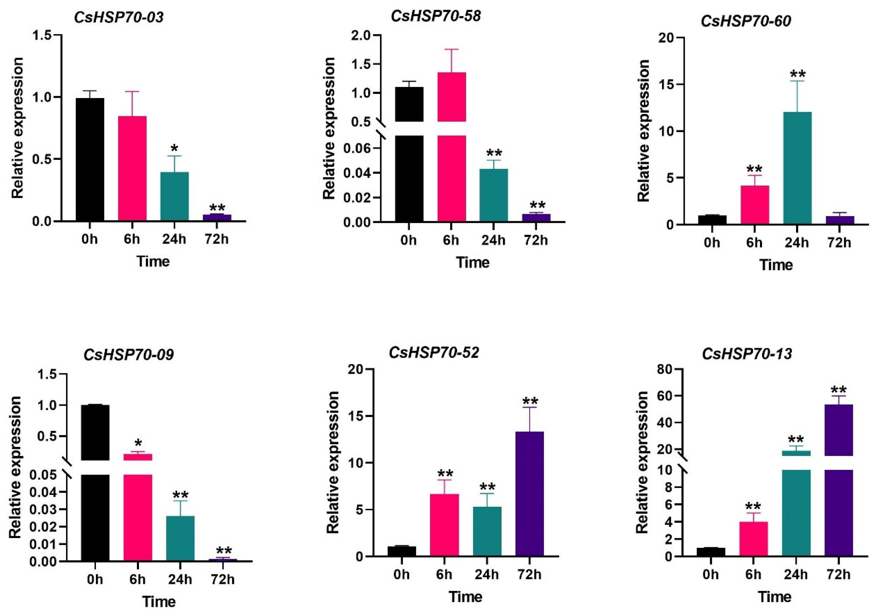 Plants 13 03410 g007