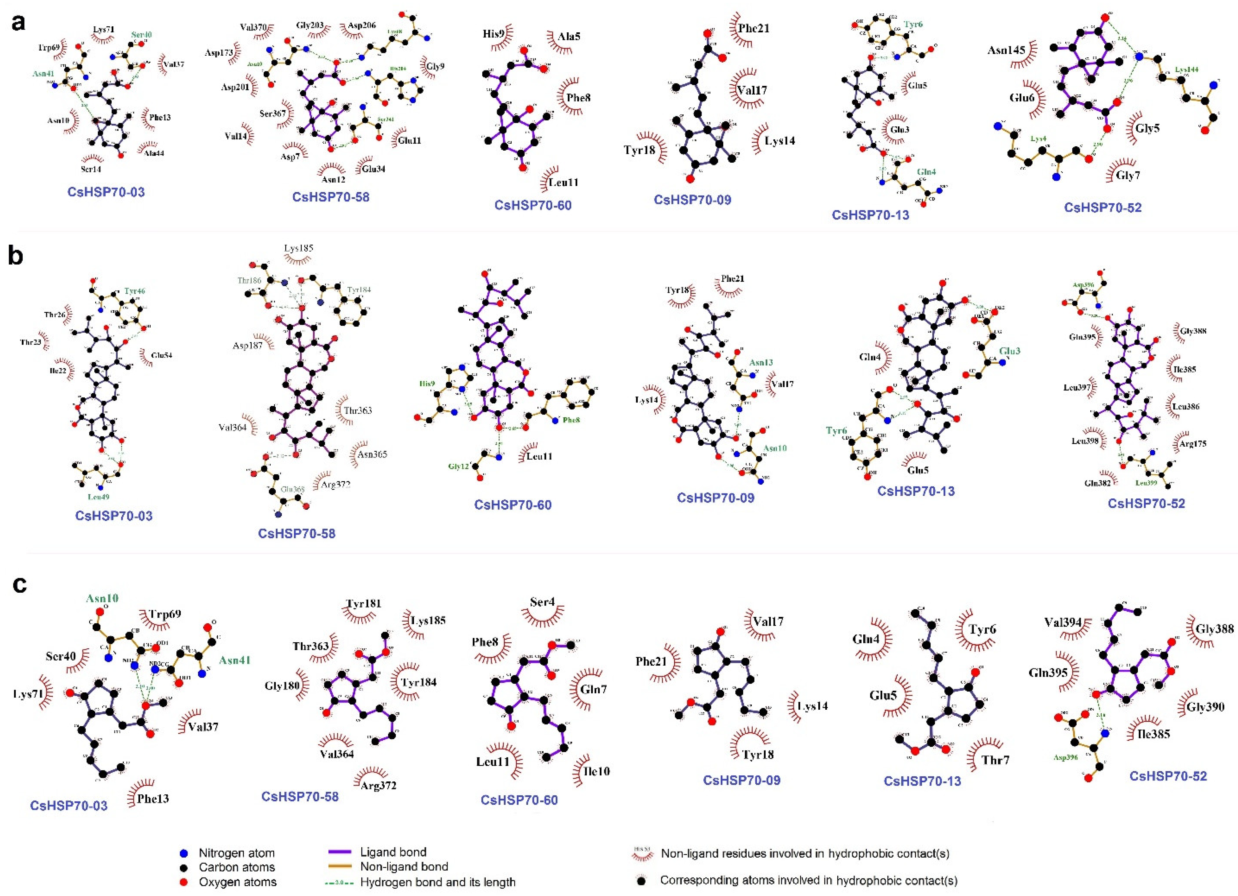 Plants 13 03410 g008
