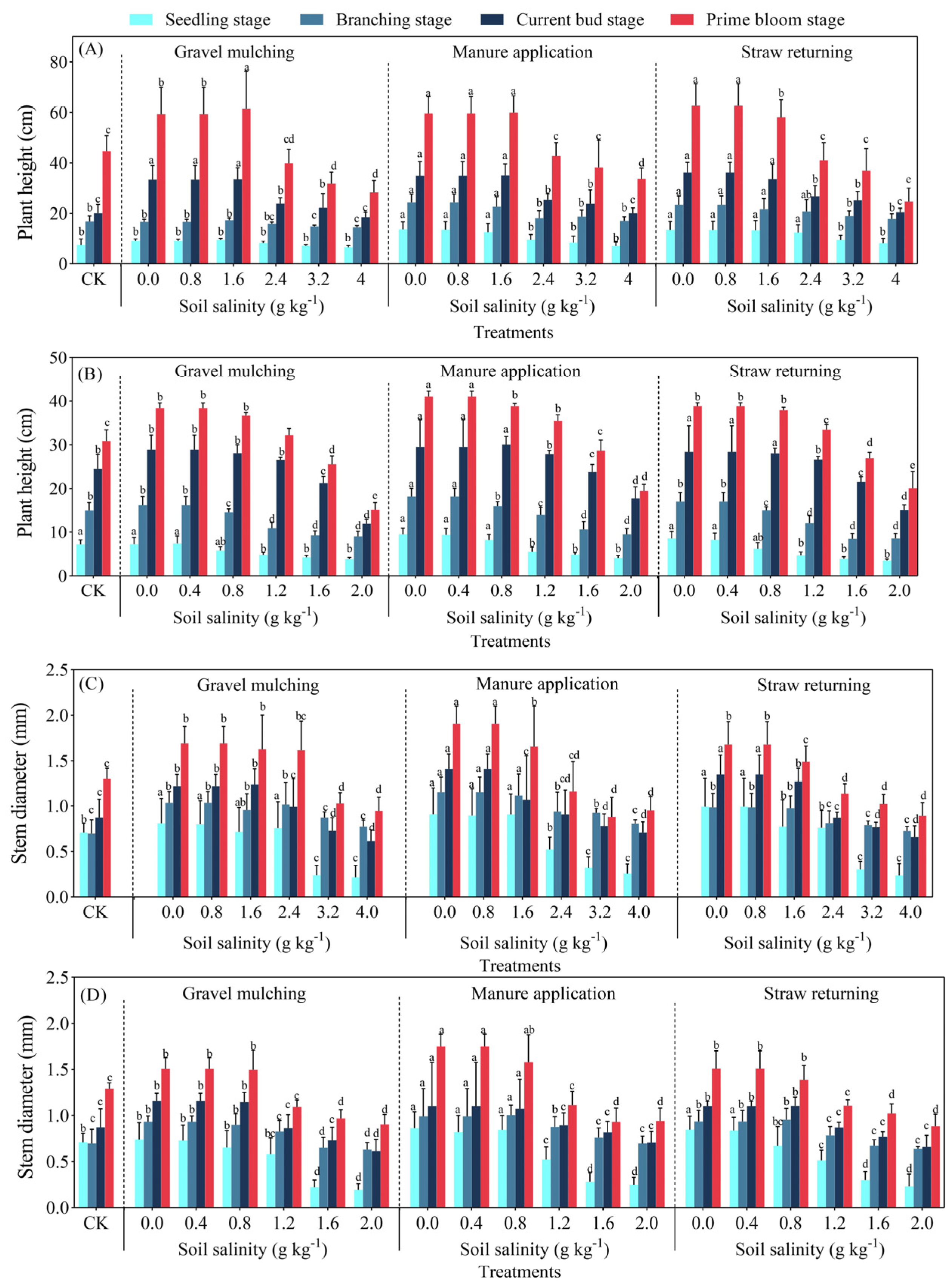 Plants 13 03413 g001