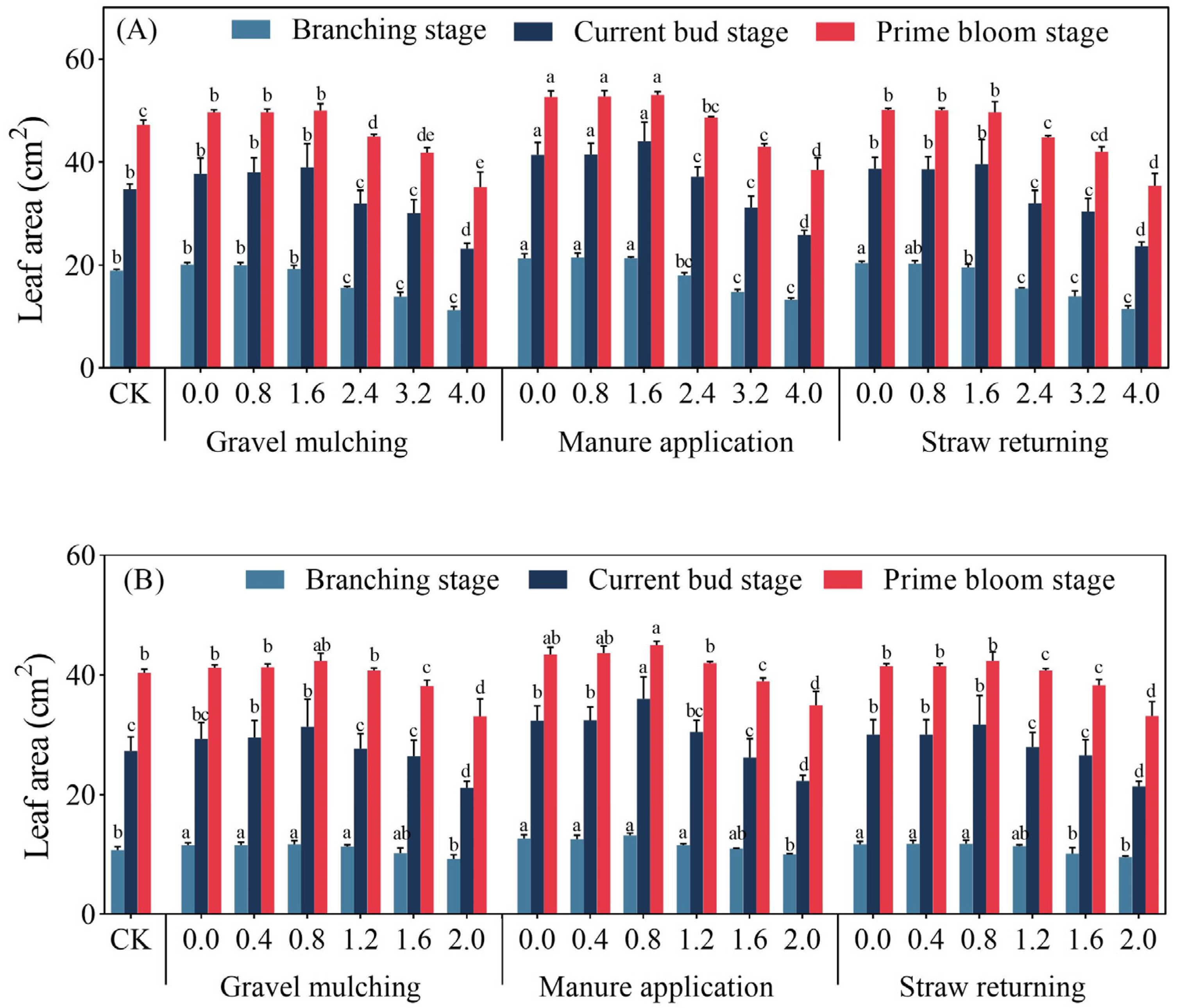 Plants 13 03413 g004