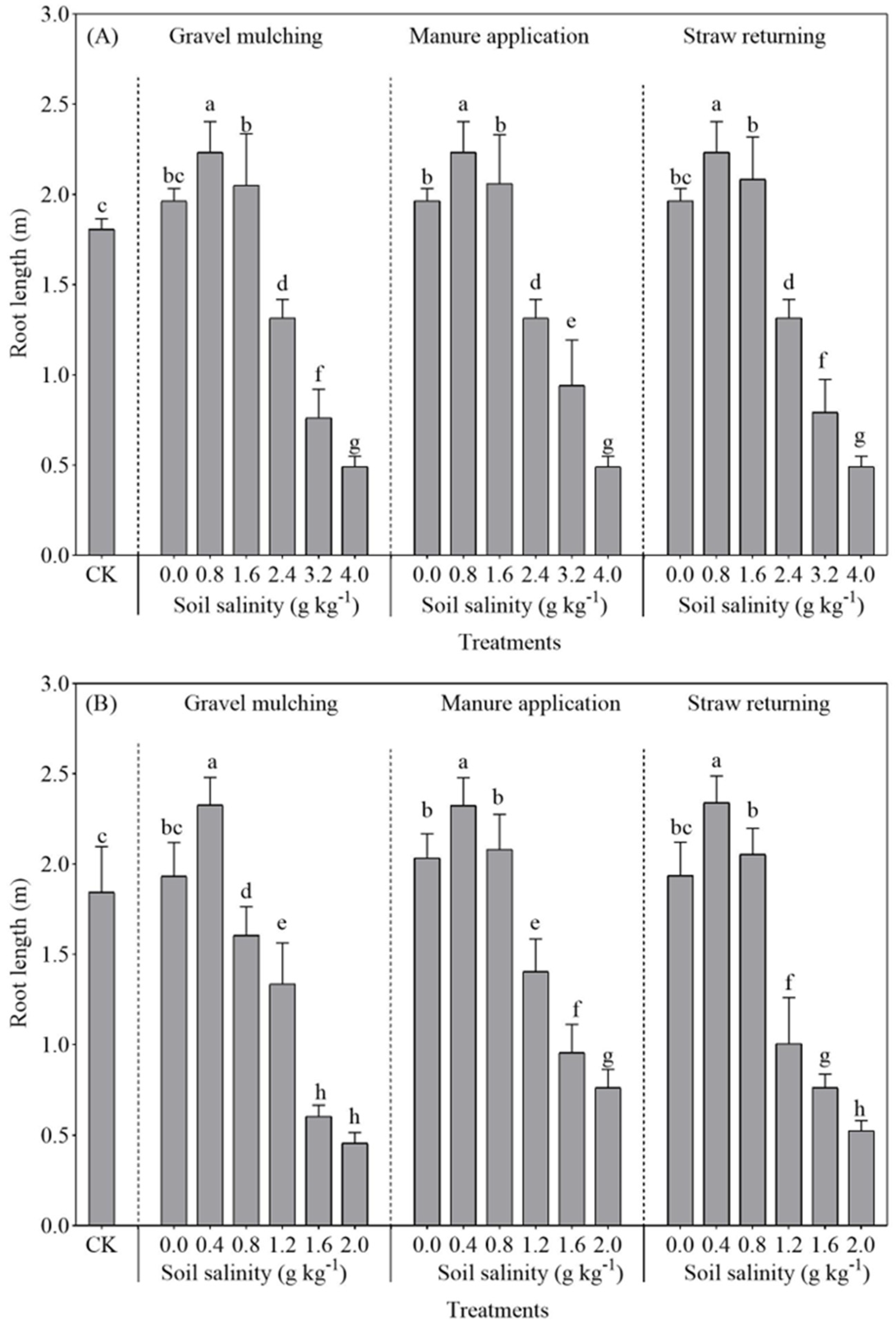 Plants 13 03413 g005