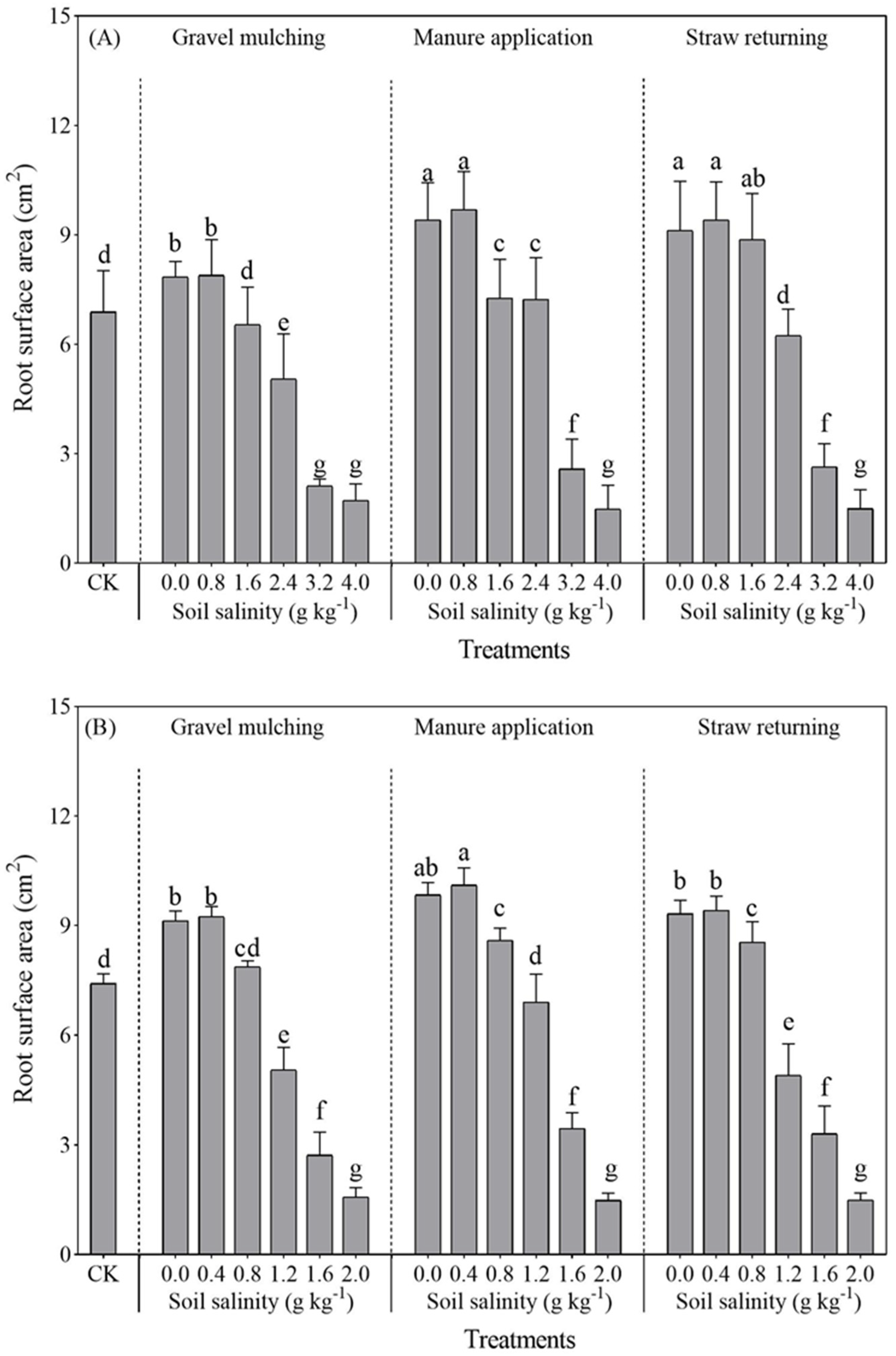 Plants 13 03413 g008