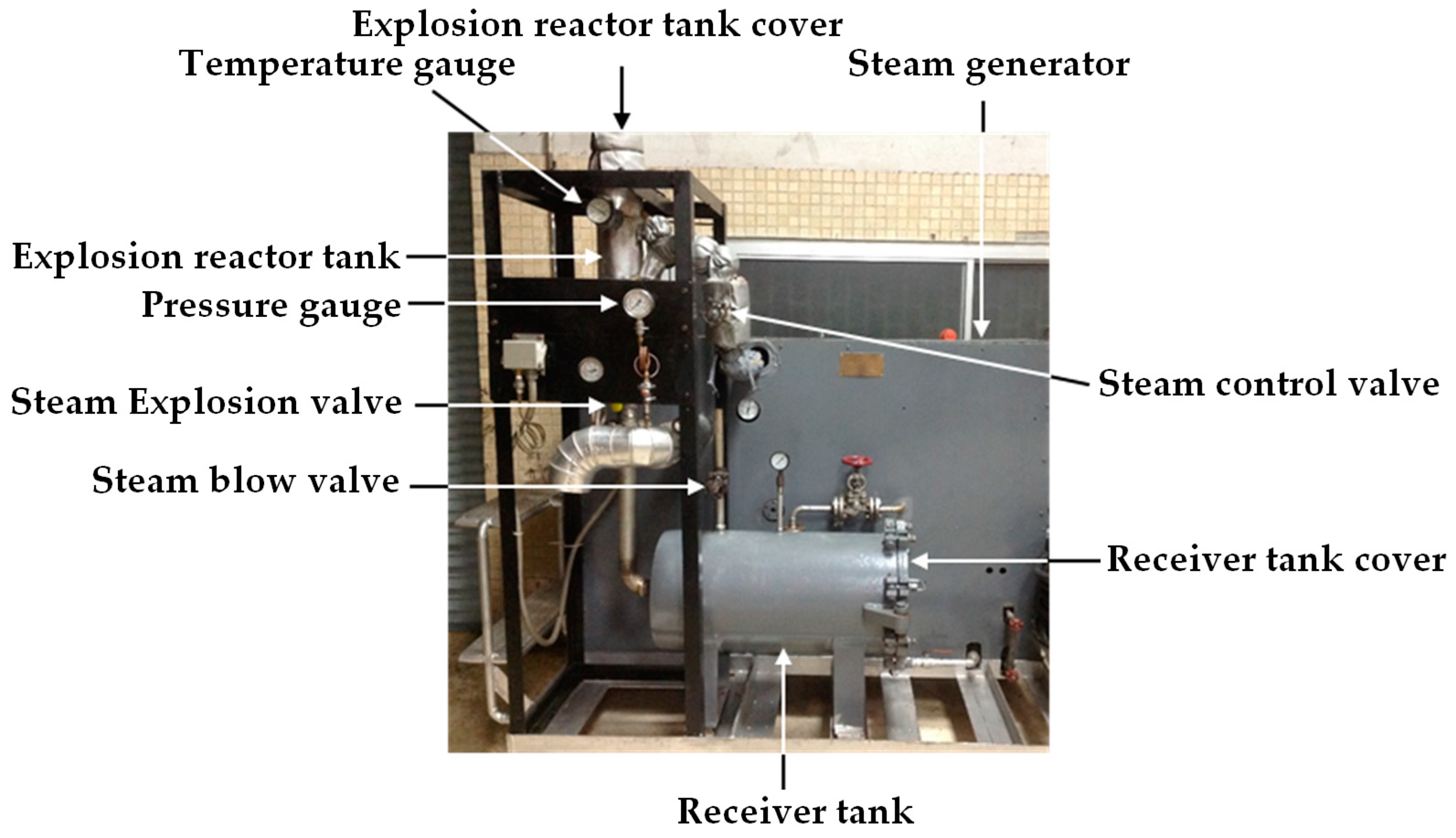 Plants 13 03417 g002