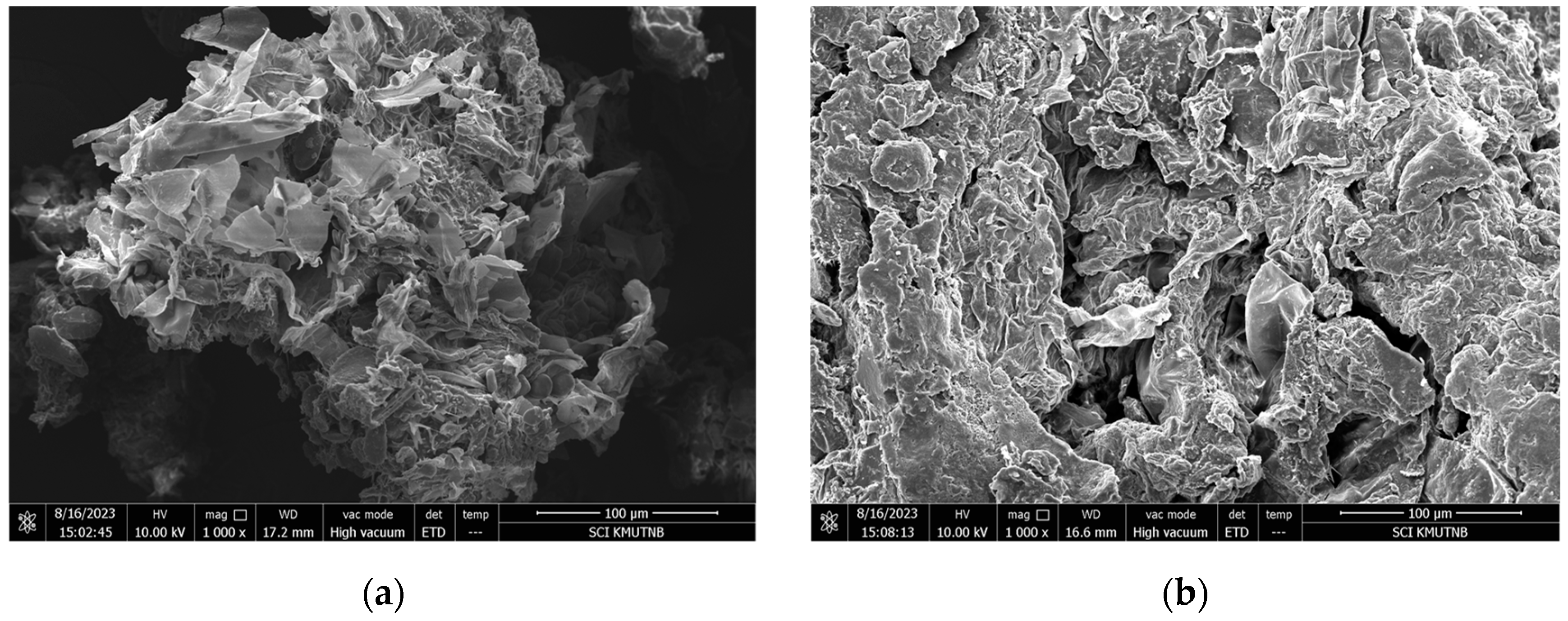 Plants 13 03417 g007