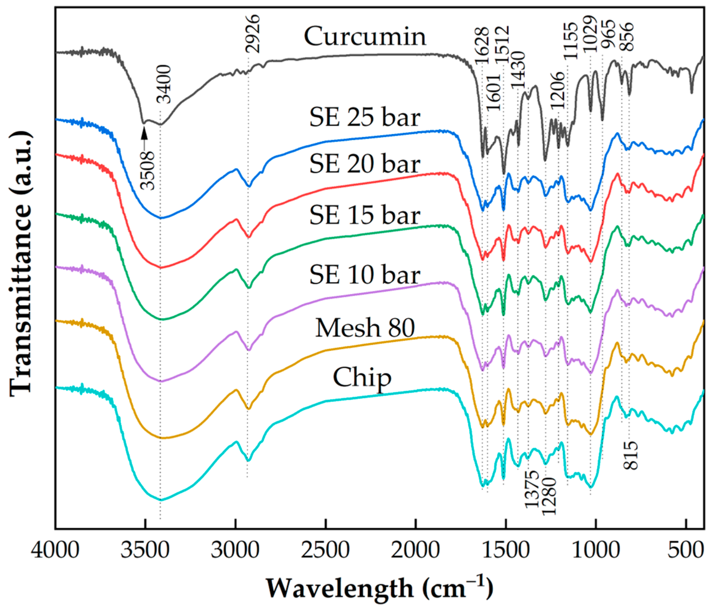 Plants 13 03417 g011