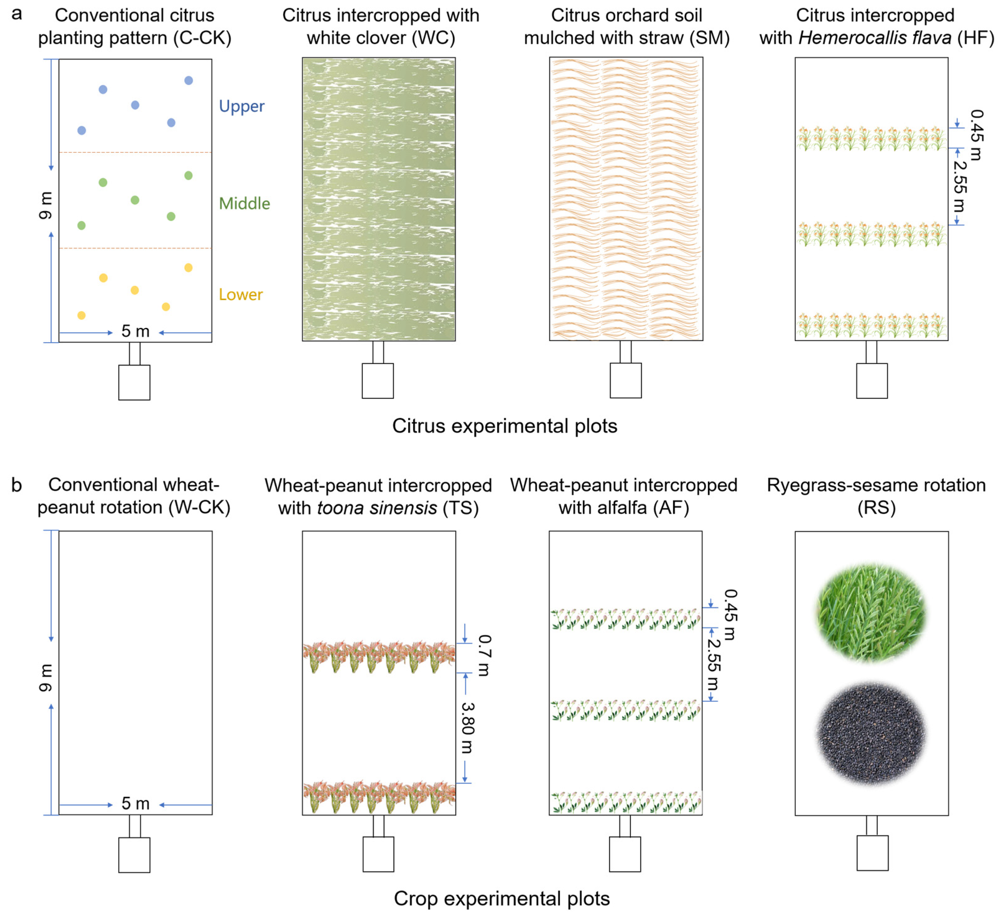 Plants 13 03420 g006