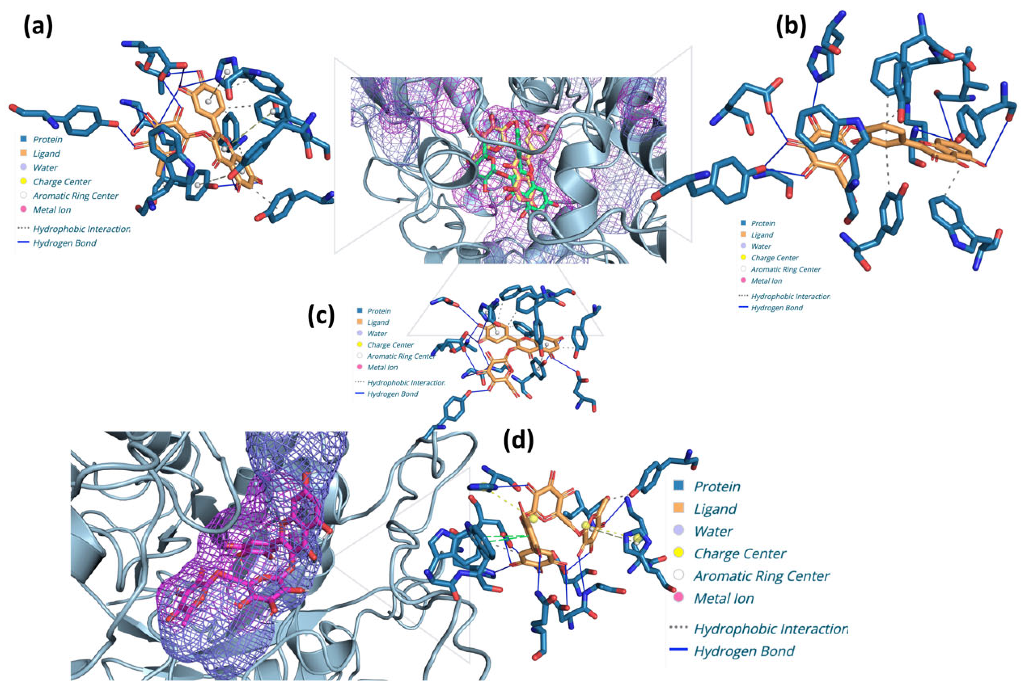 Plants 13 03421 g003