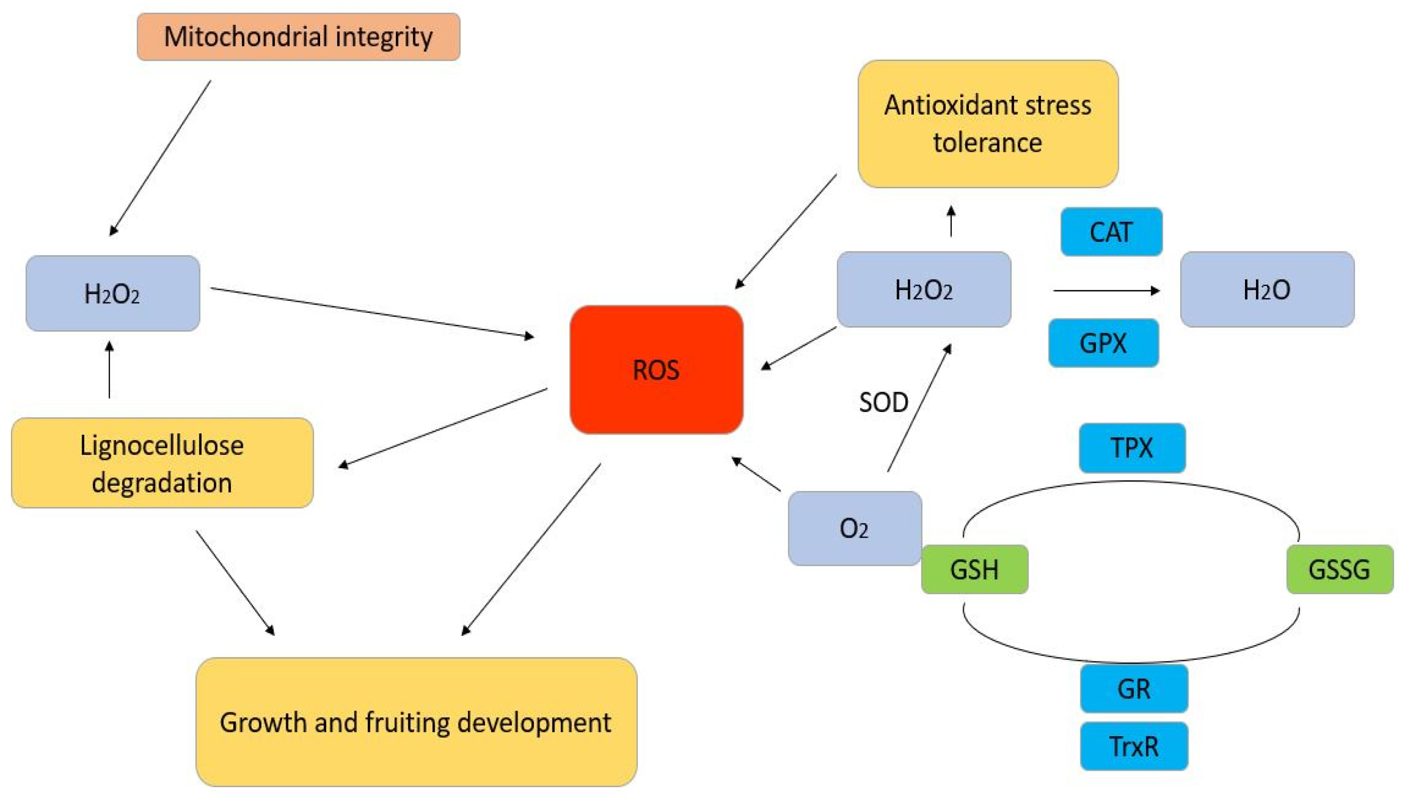 Plants 13 03422 g001 Plants 13 03422 g001