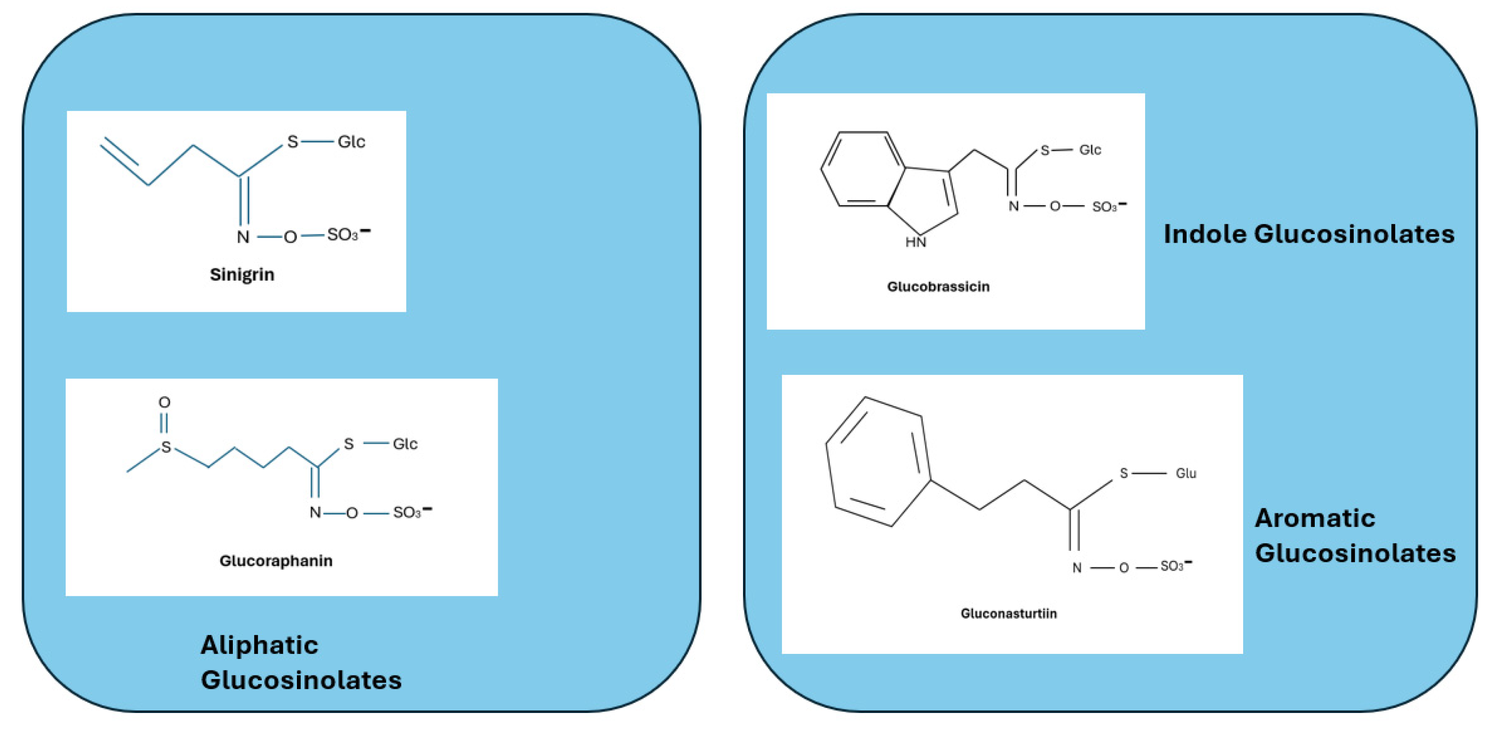 Plants 13 03422 g002 Plants 13 03422 g002