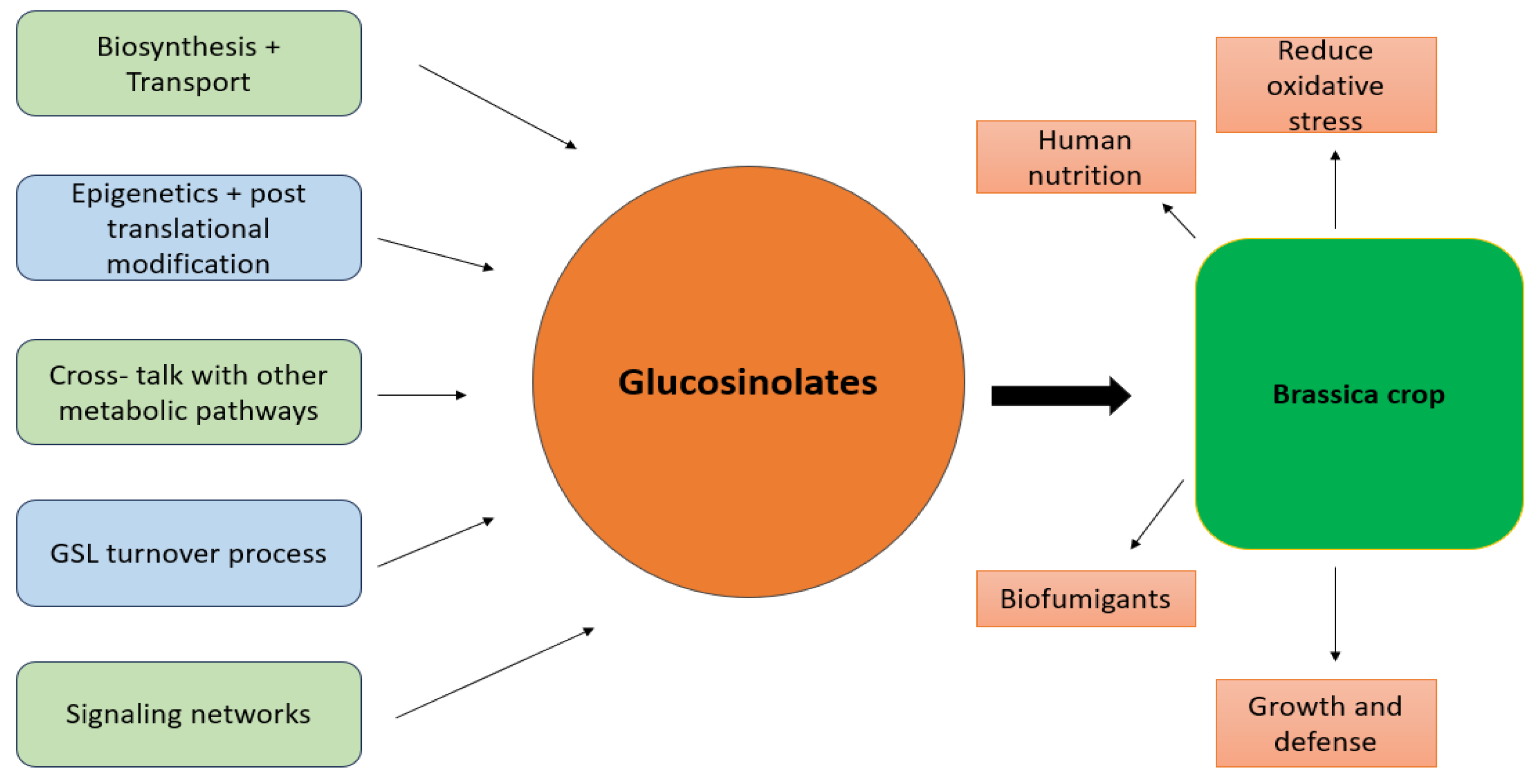 Plants 13 03422 g003 Plants 13 03422 g003