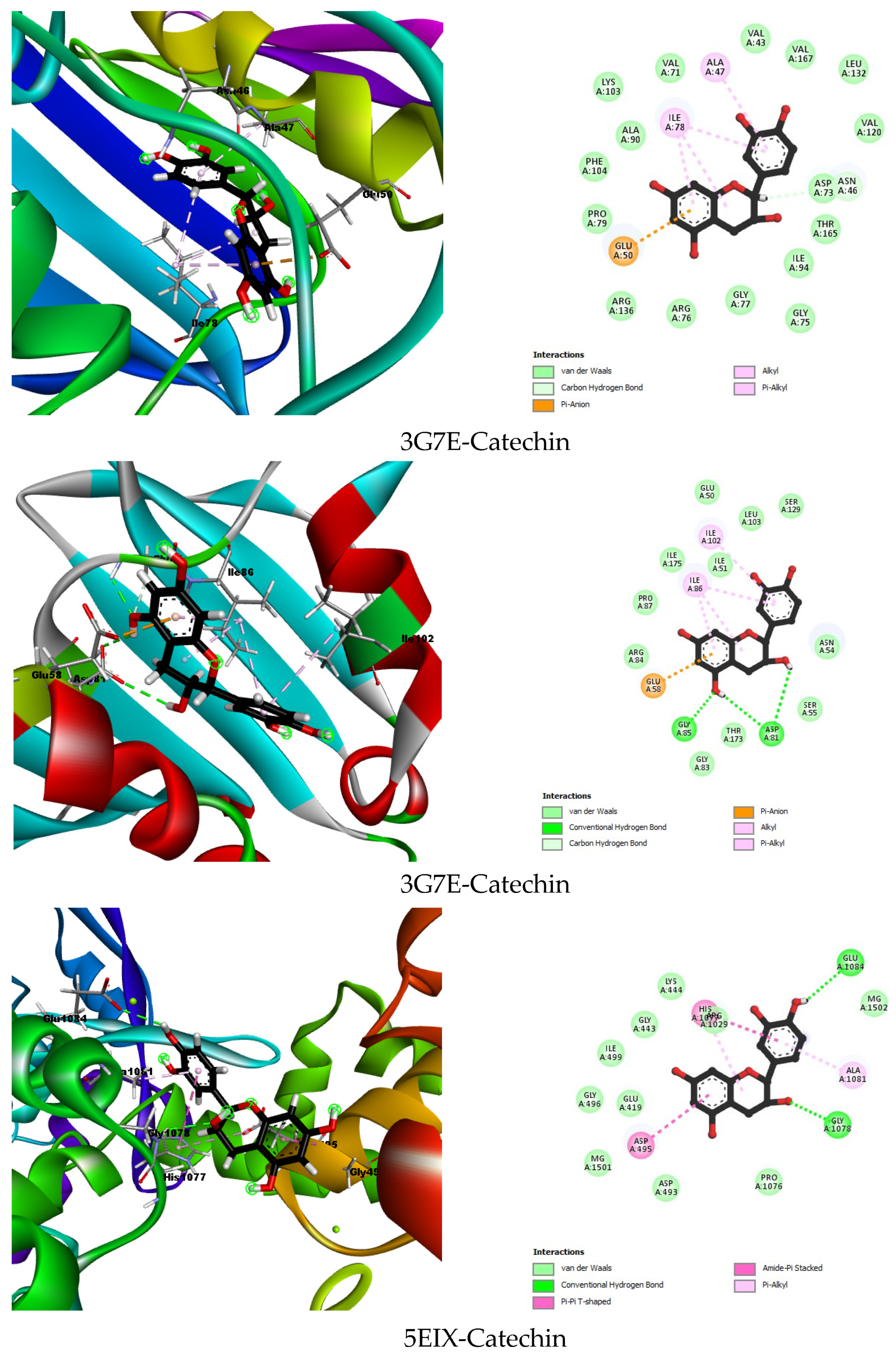Plants 13 03425 g002a
