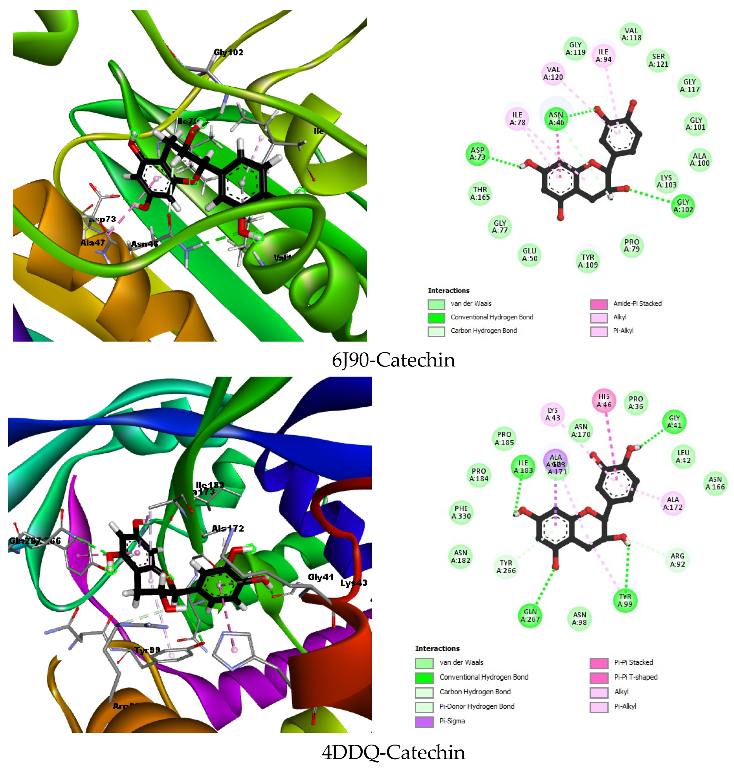 Plants 13 03425 g002b