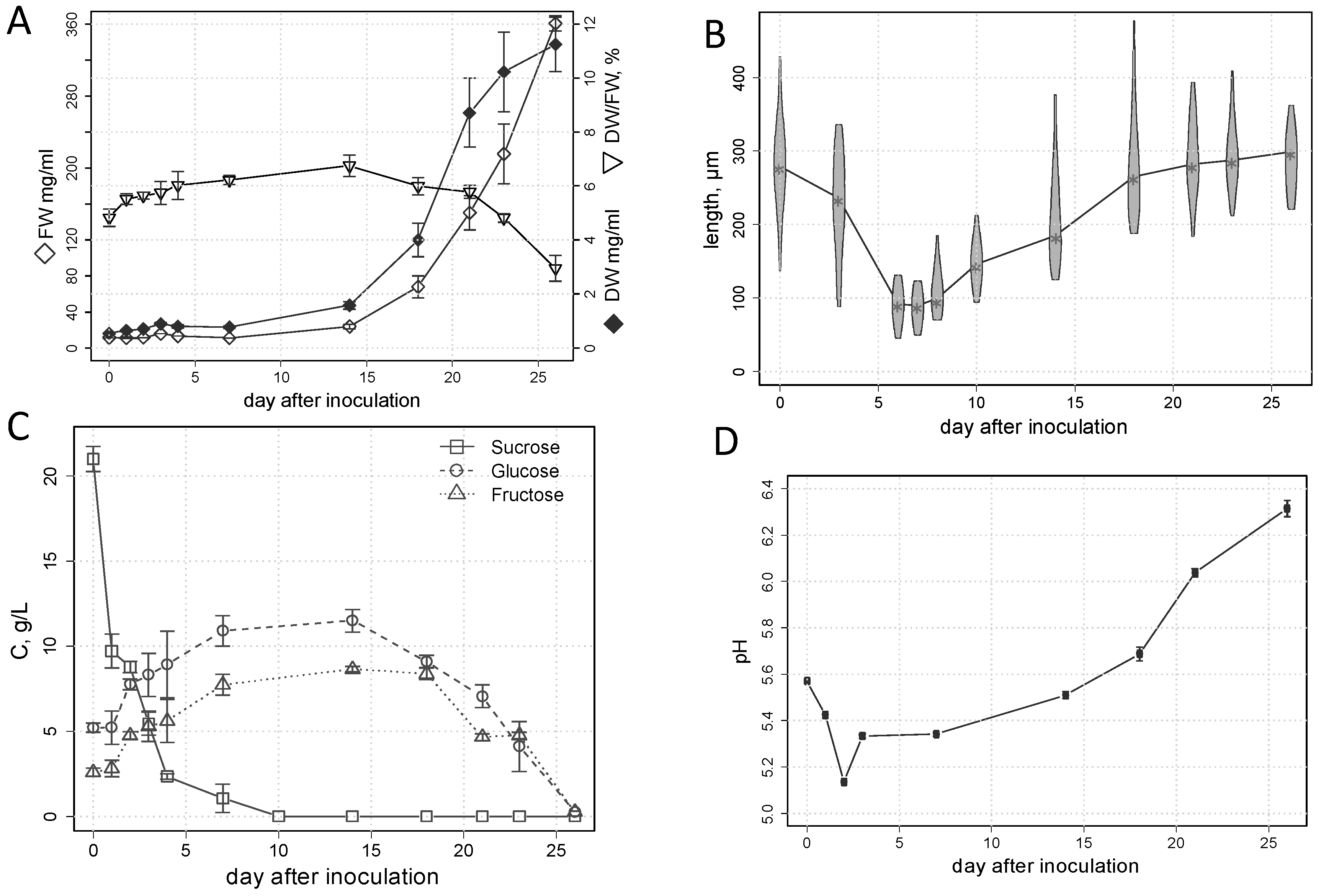 Plants 13 03426 g001