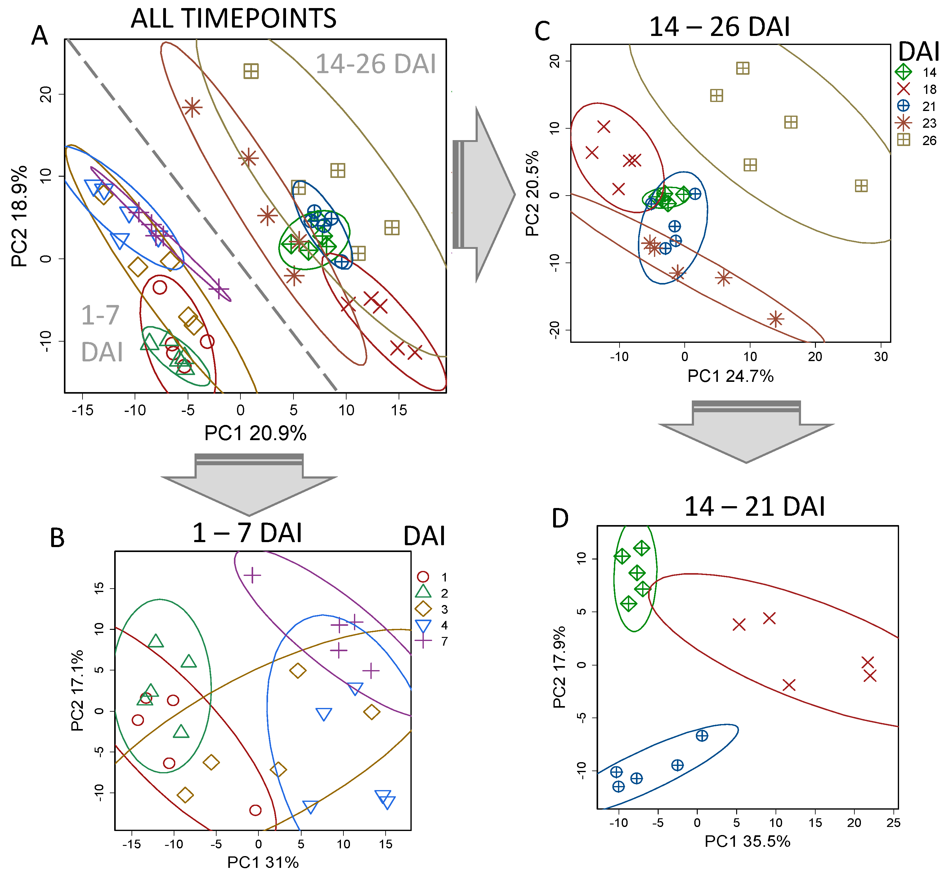 Plants 13 03426 g003