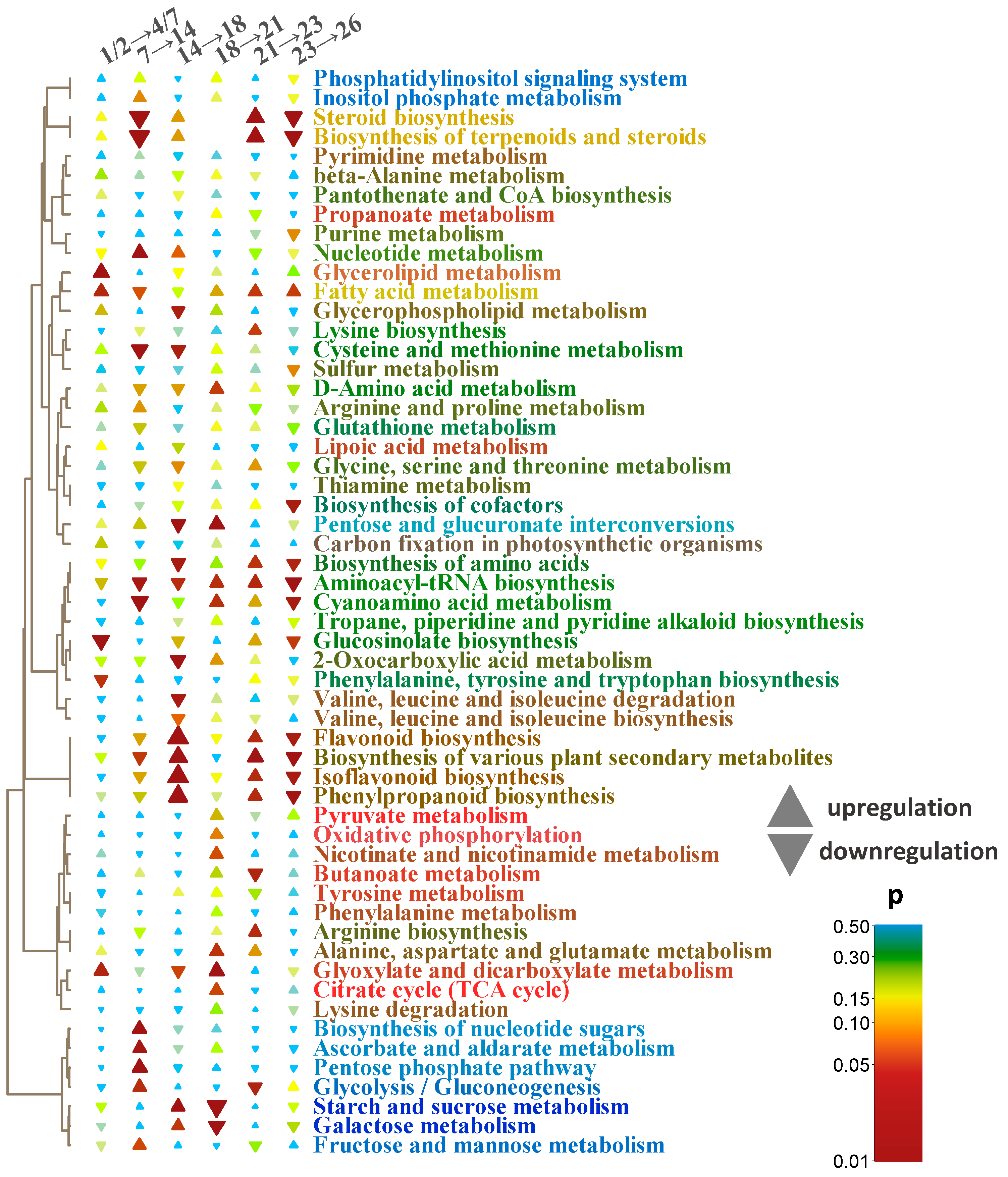 Plants 13 03426 g006