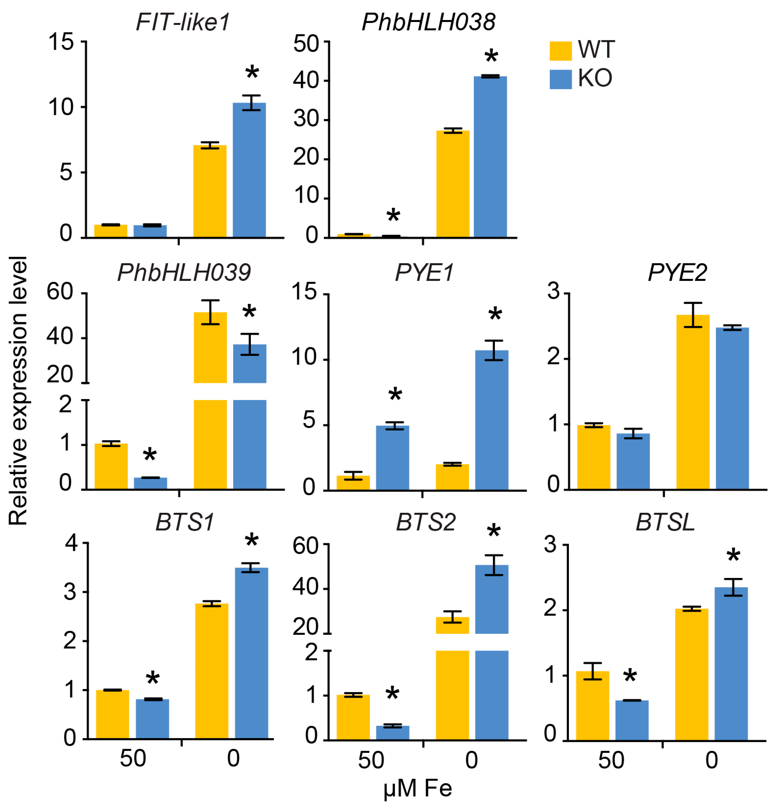 Plants 13 03429 g006