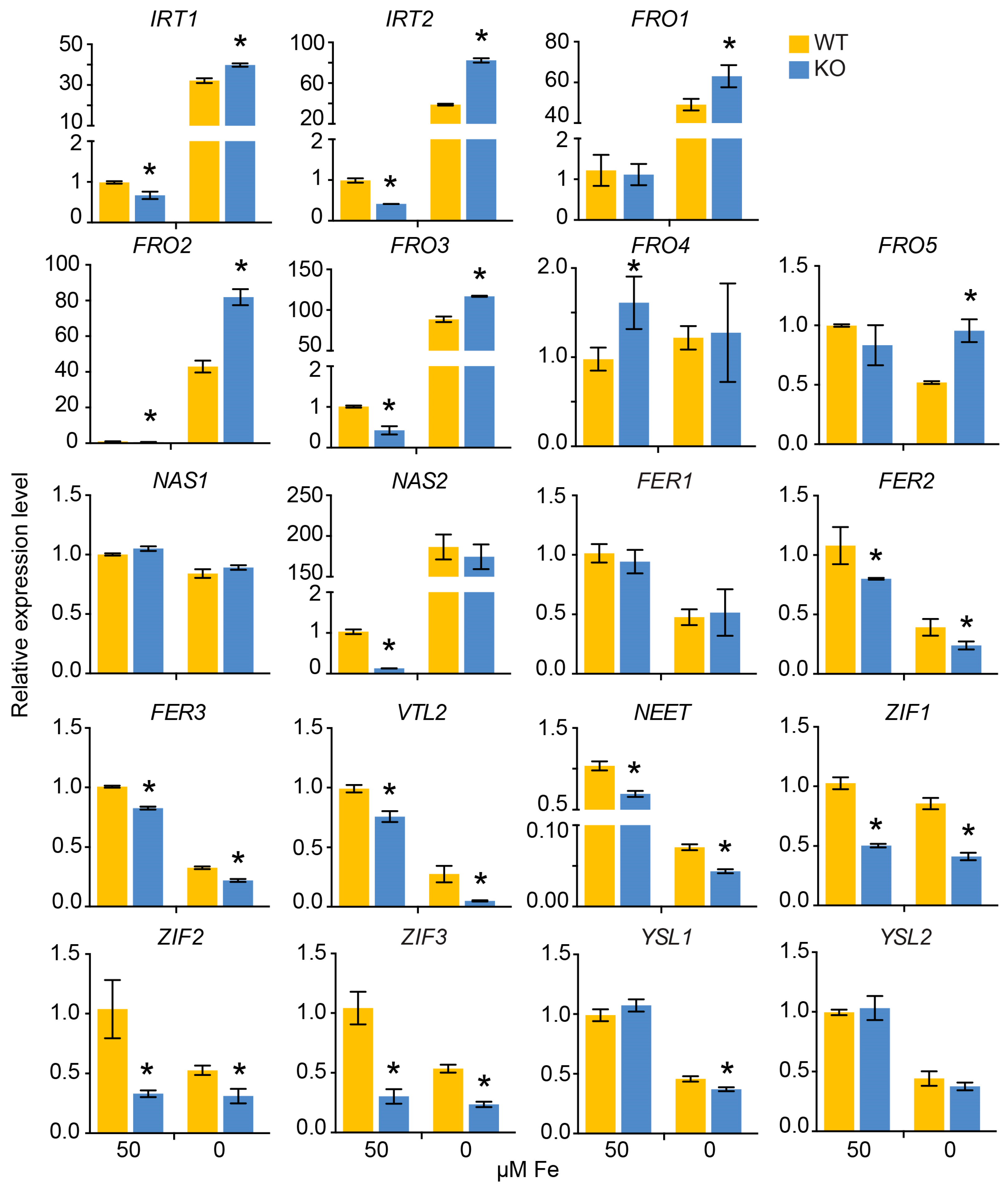 Plants 13 03429 g007