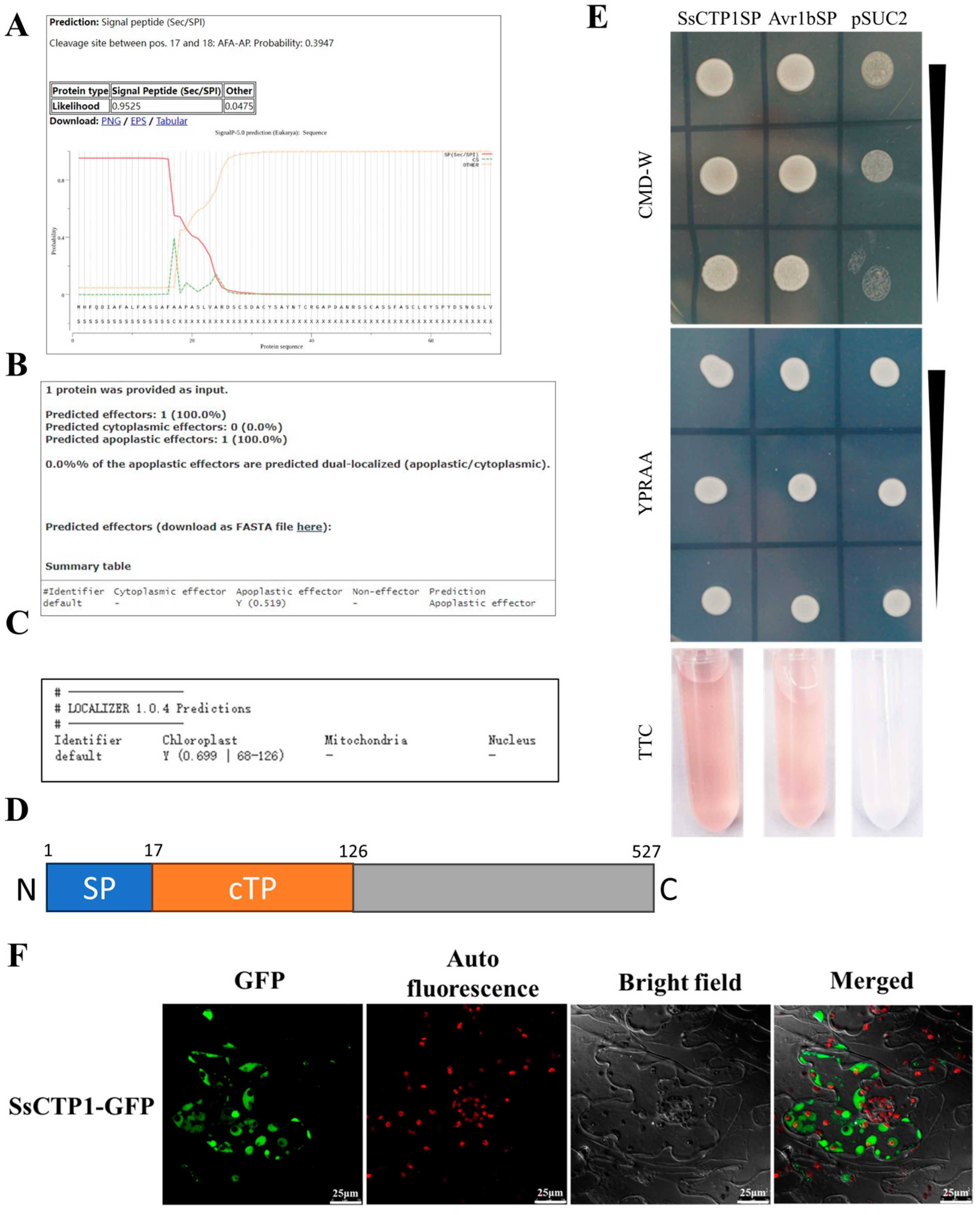 Plants 13 03430 g001