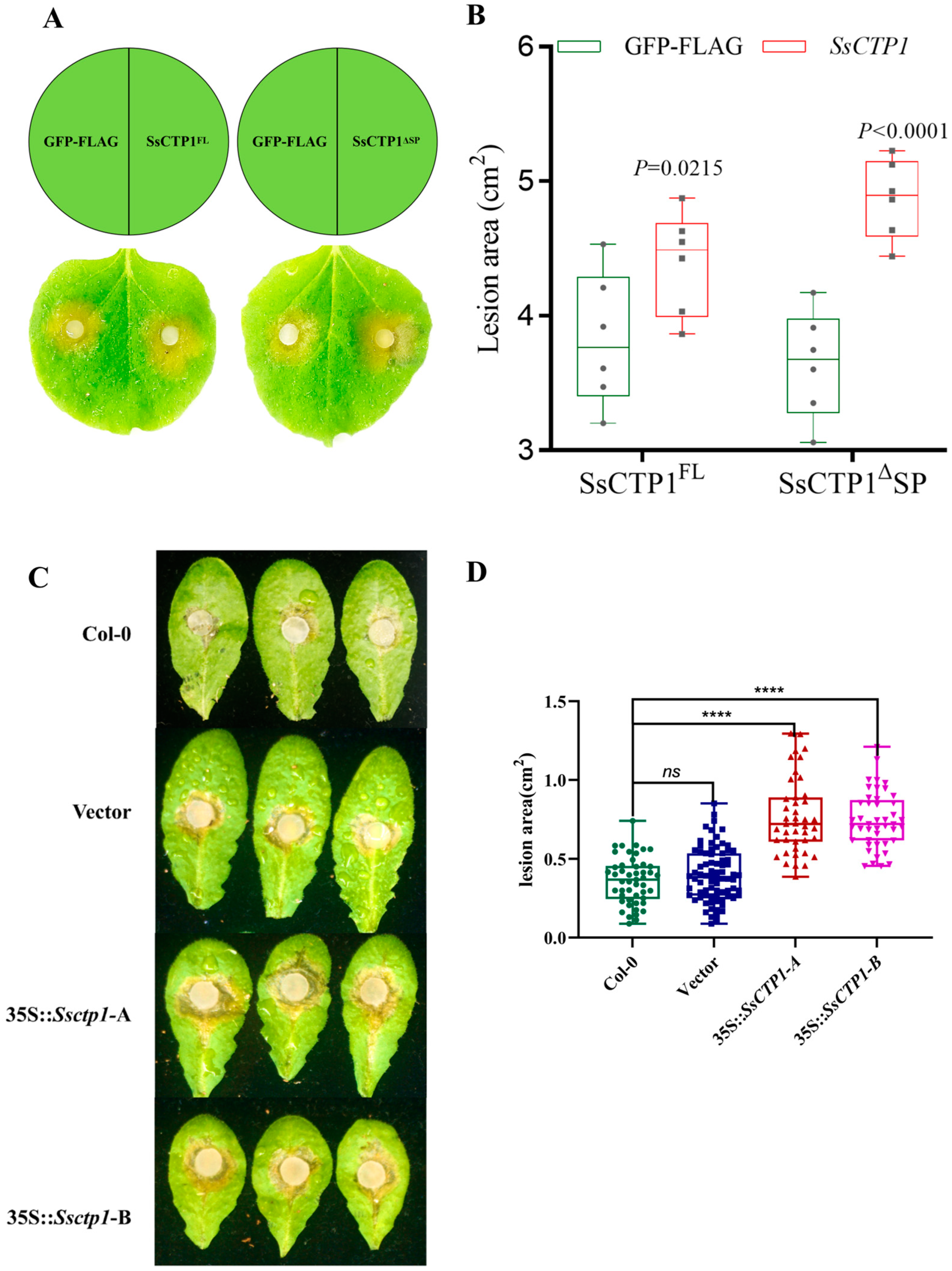 Plants 13 03430 g004
