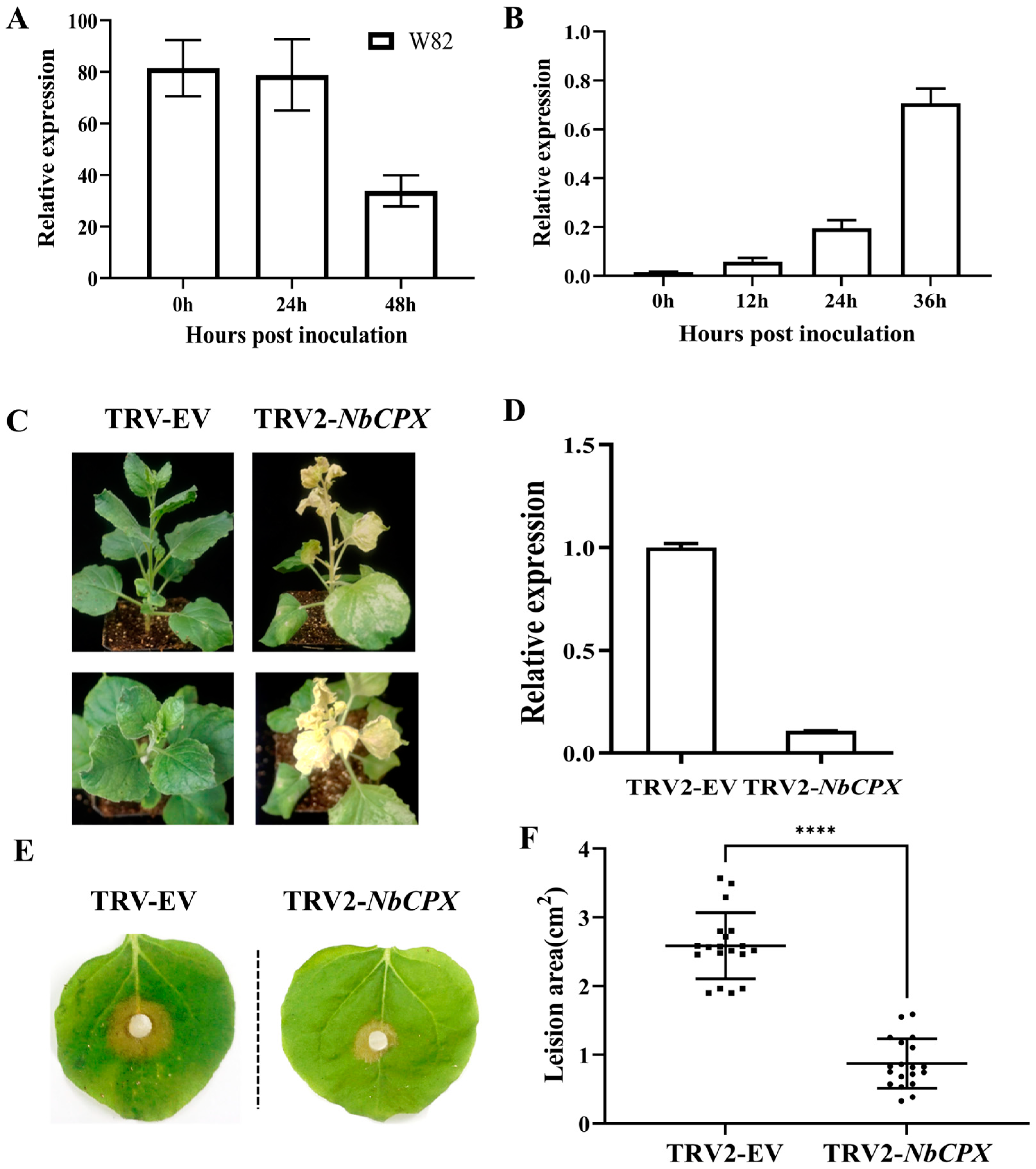 Plants 13 03430 g006